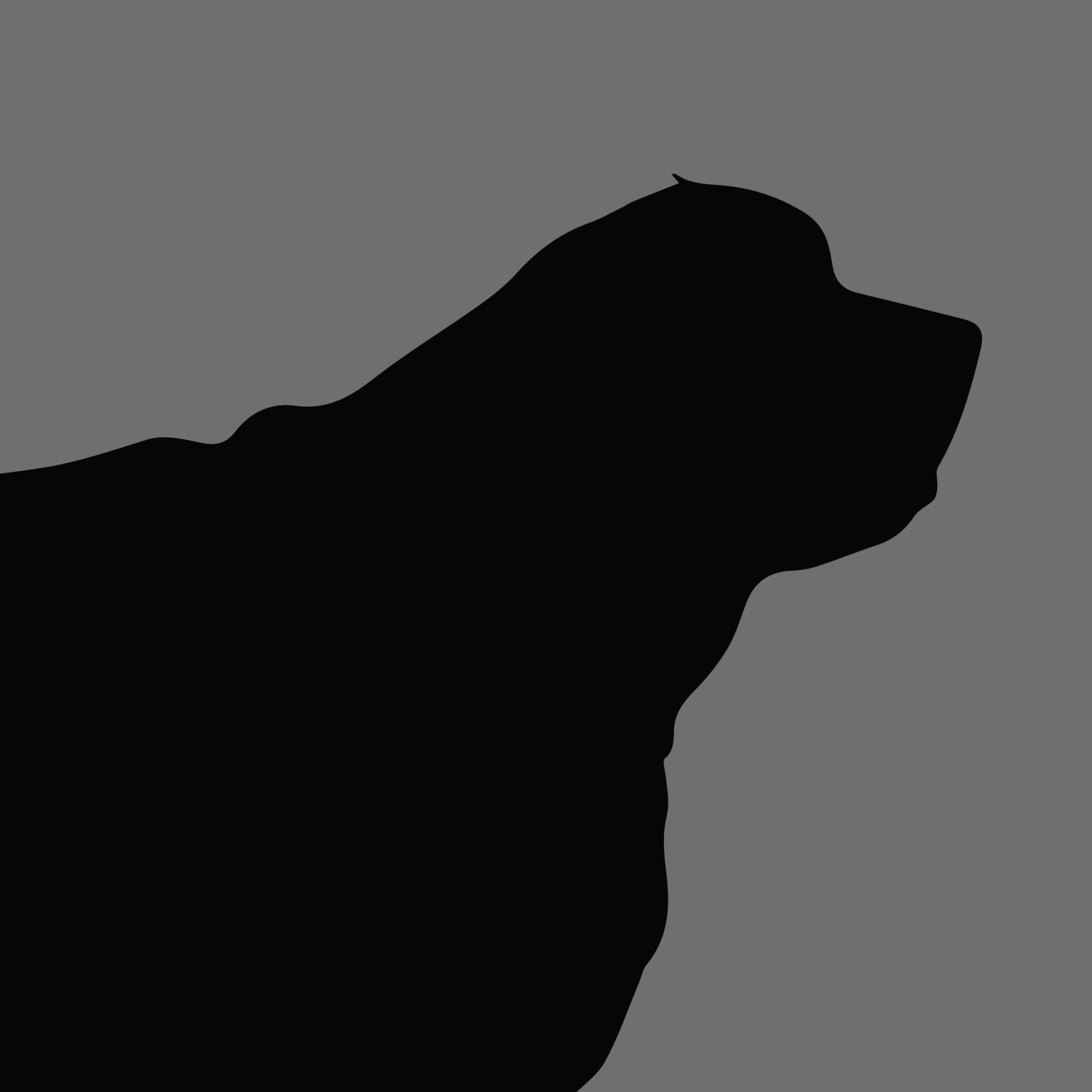 Dog Silhouette Square Clumber Spaniel