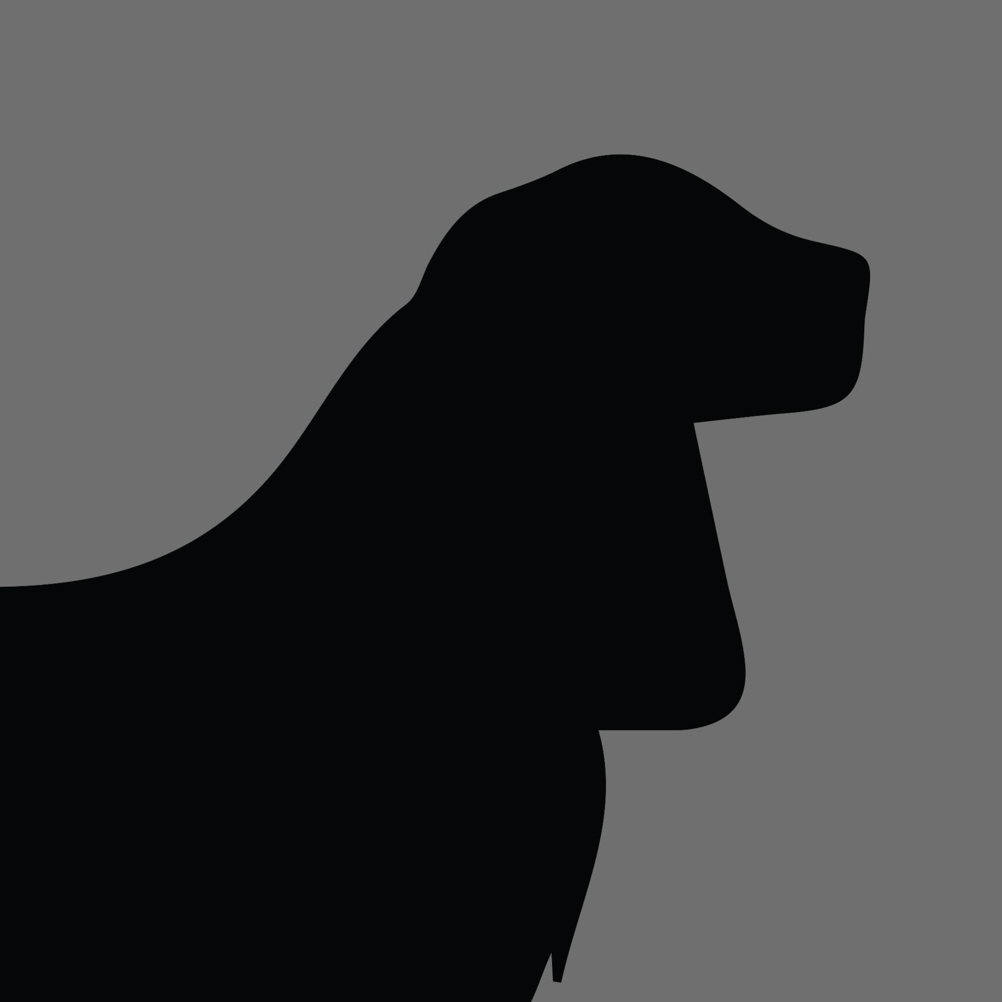 Dog Silhouette Square Cocker Spaniel e1618470030583