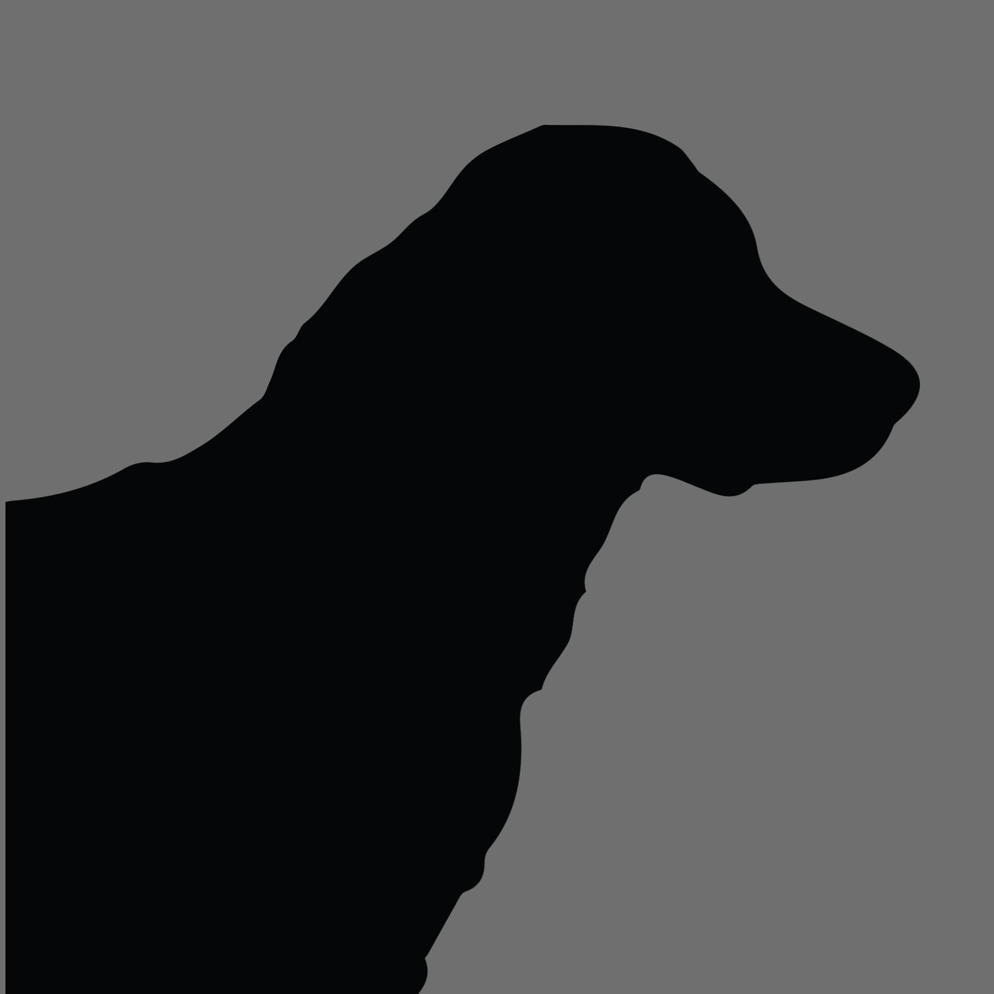 Dog Silhouette Square Curly Coated Retriever
