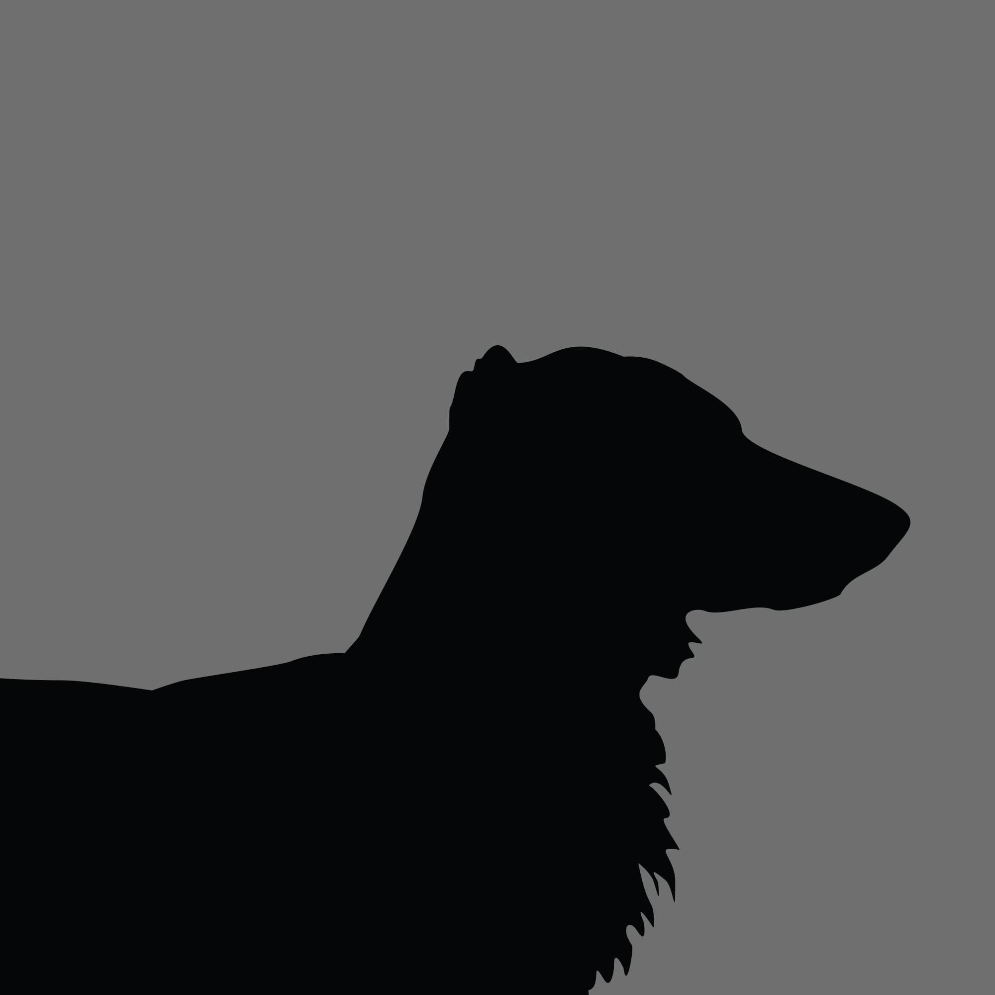Dog Silhouette Square Dachshund Miniature Long Haired e1618470000826