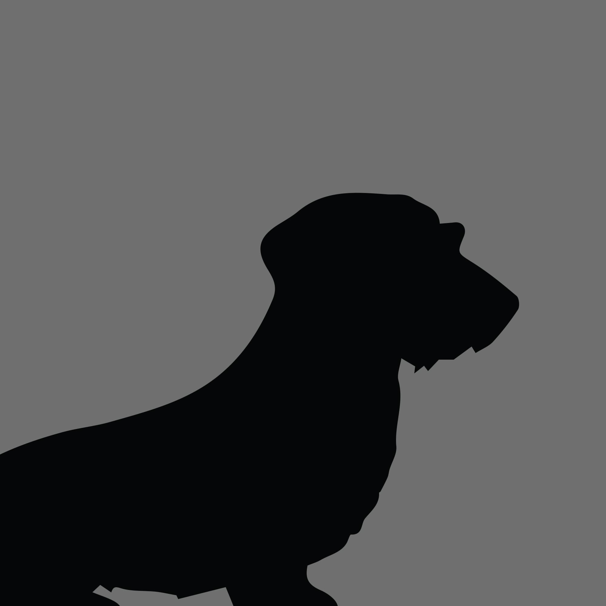 Dog Silhouette Square Dachshund Miniature Wire Haired