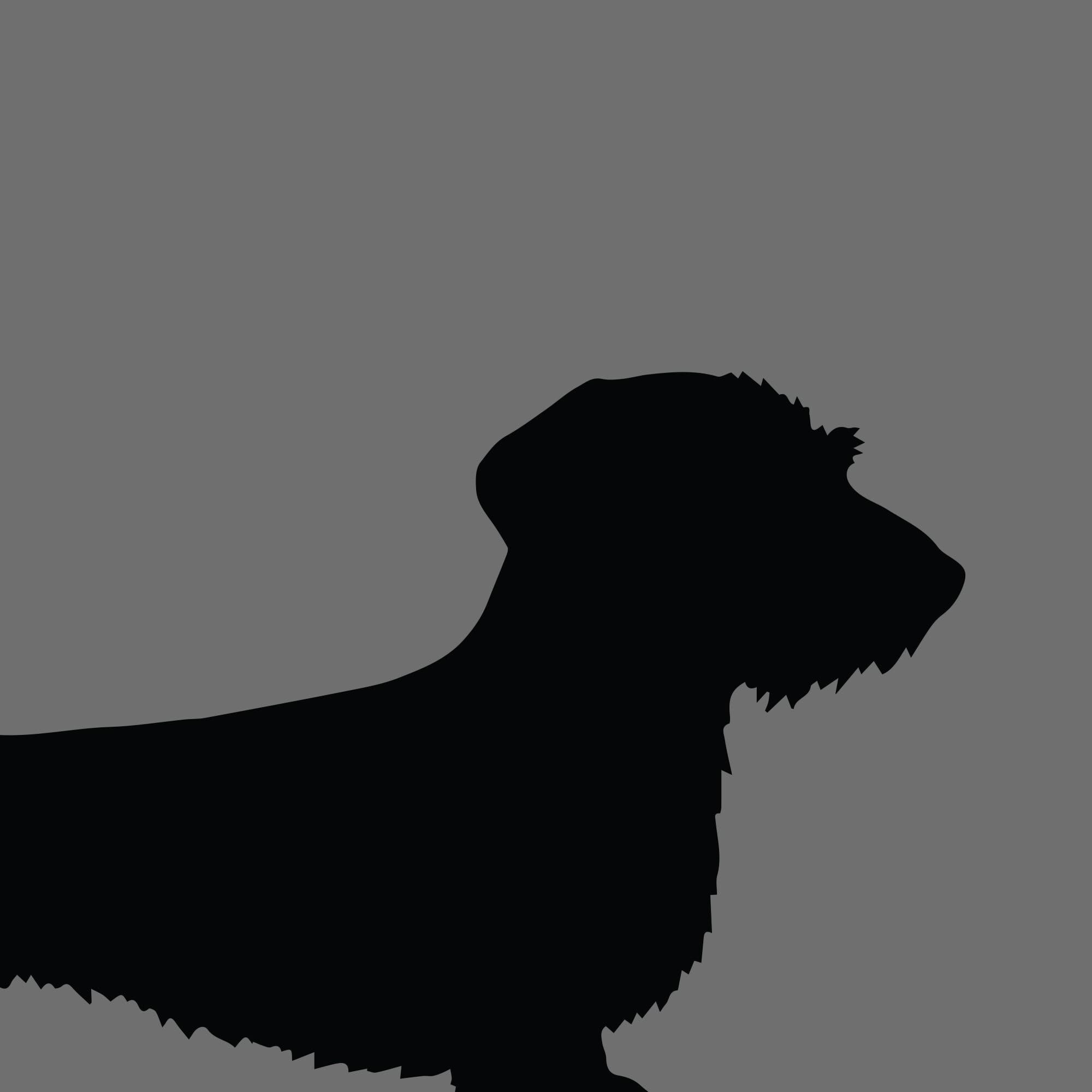 Dog Silhouette Square Dachshund Wire Haired e1618469926705 1