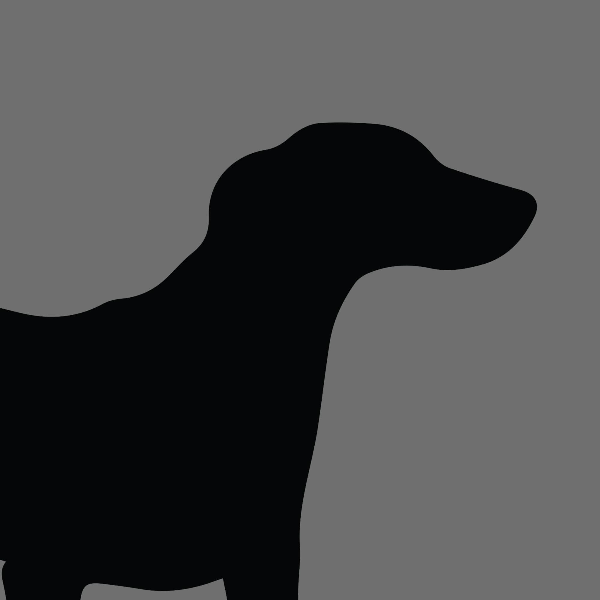 Dog Silhouette Square Dalmatian e1618470209755