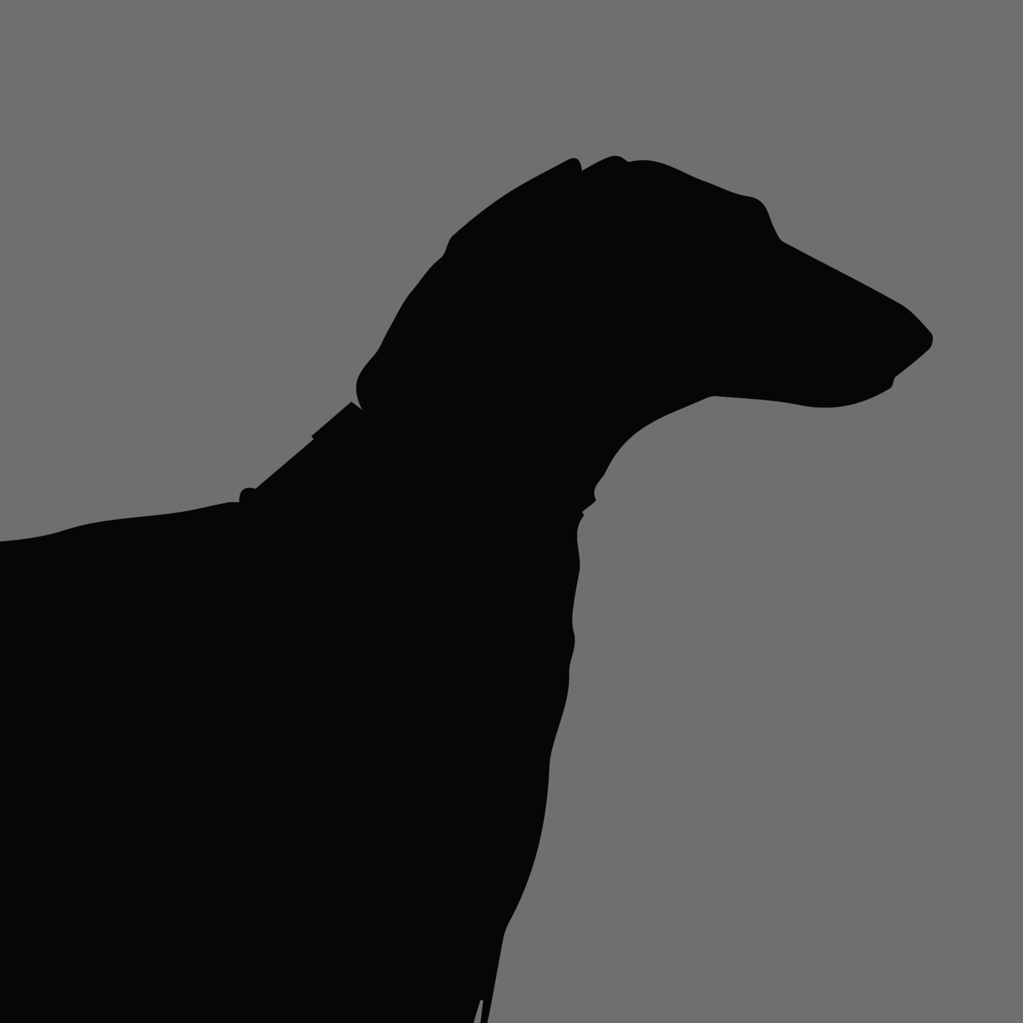 Dog Silhouette Square Deerhound 1