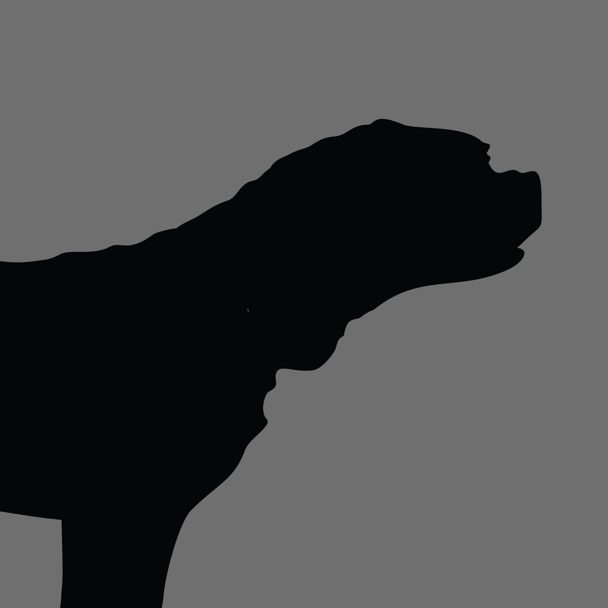 Dog Silhouette Square Dogue de