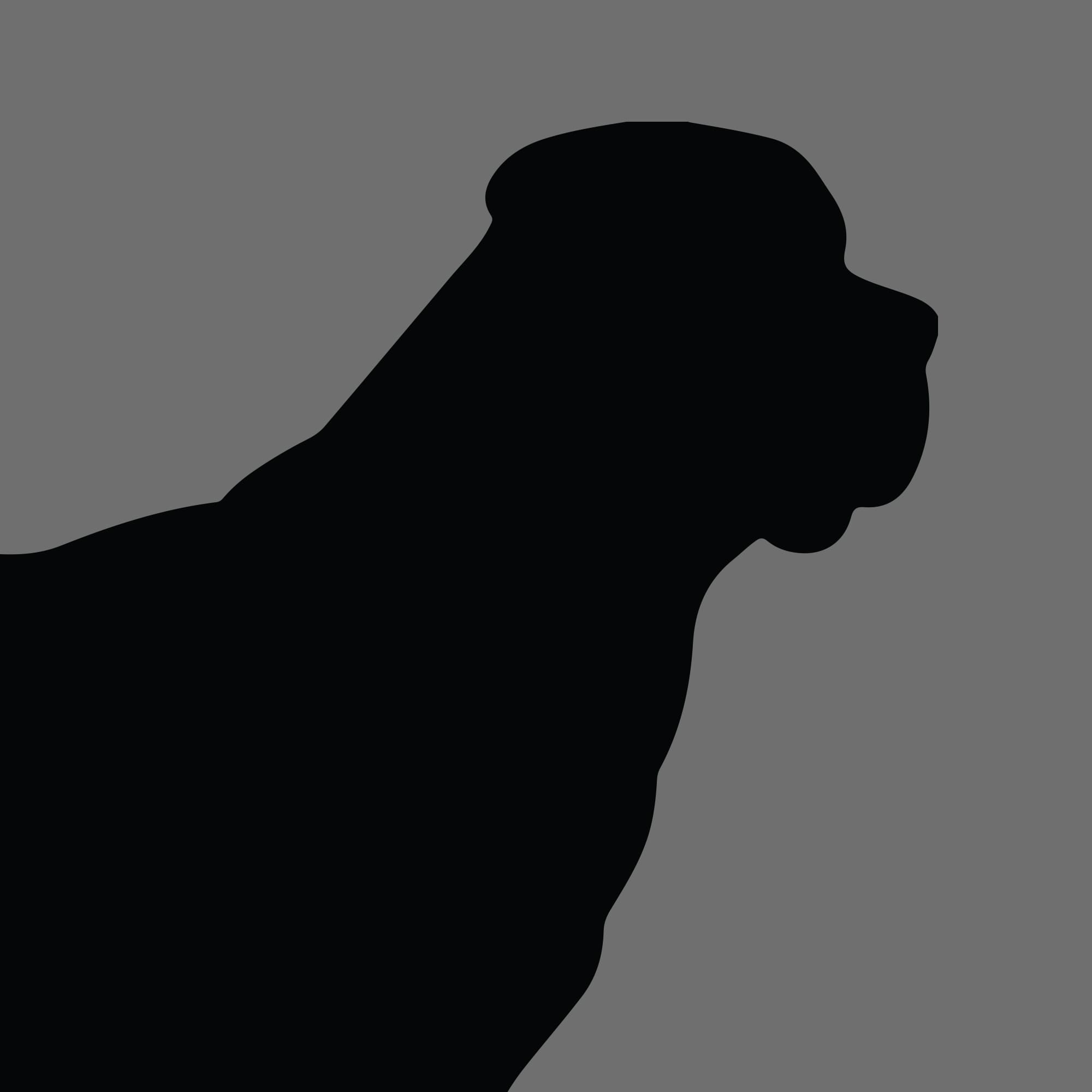 Dog Silhouette Square English Mastiff