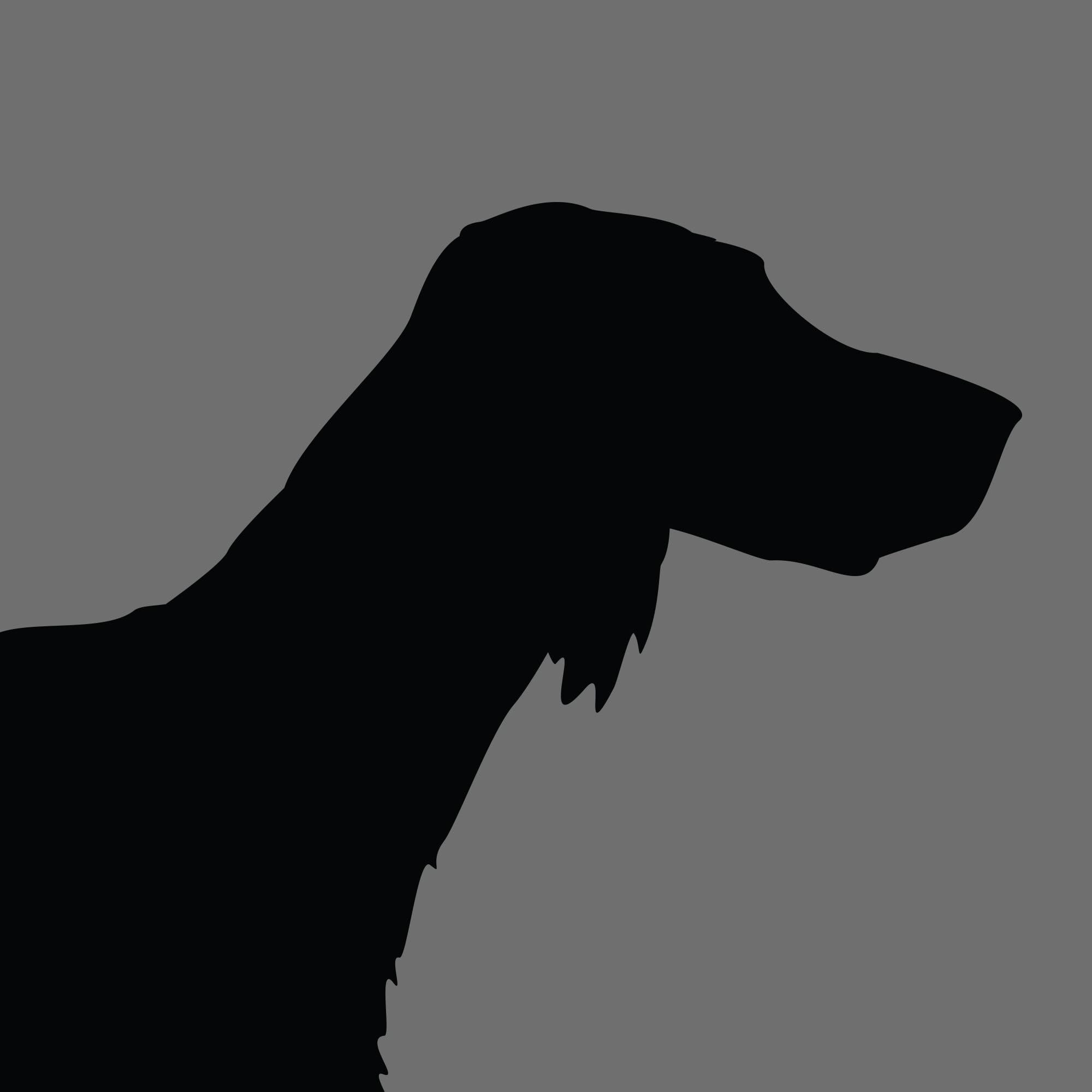 Dog Silhouette Square English Setter e1618470157892