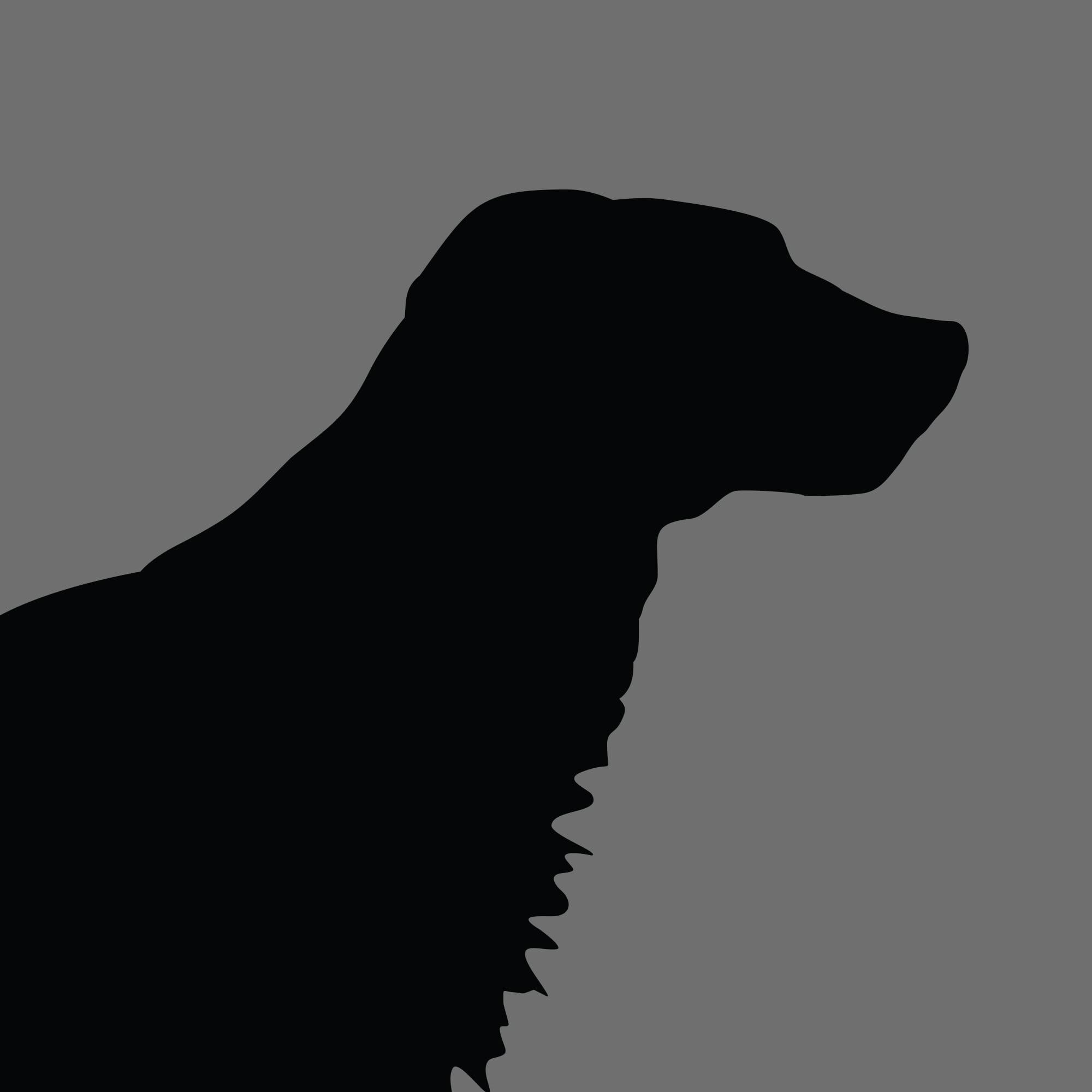Dog Silhouette Square English Springer Spaniel e1618470229373