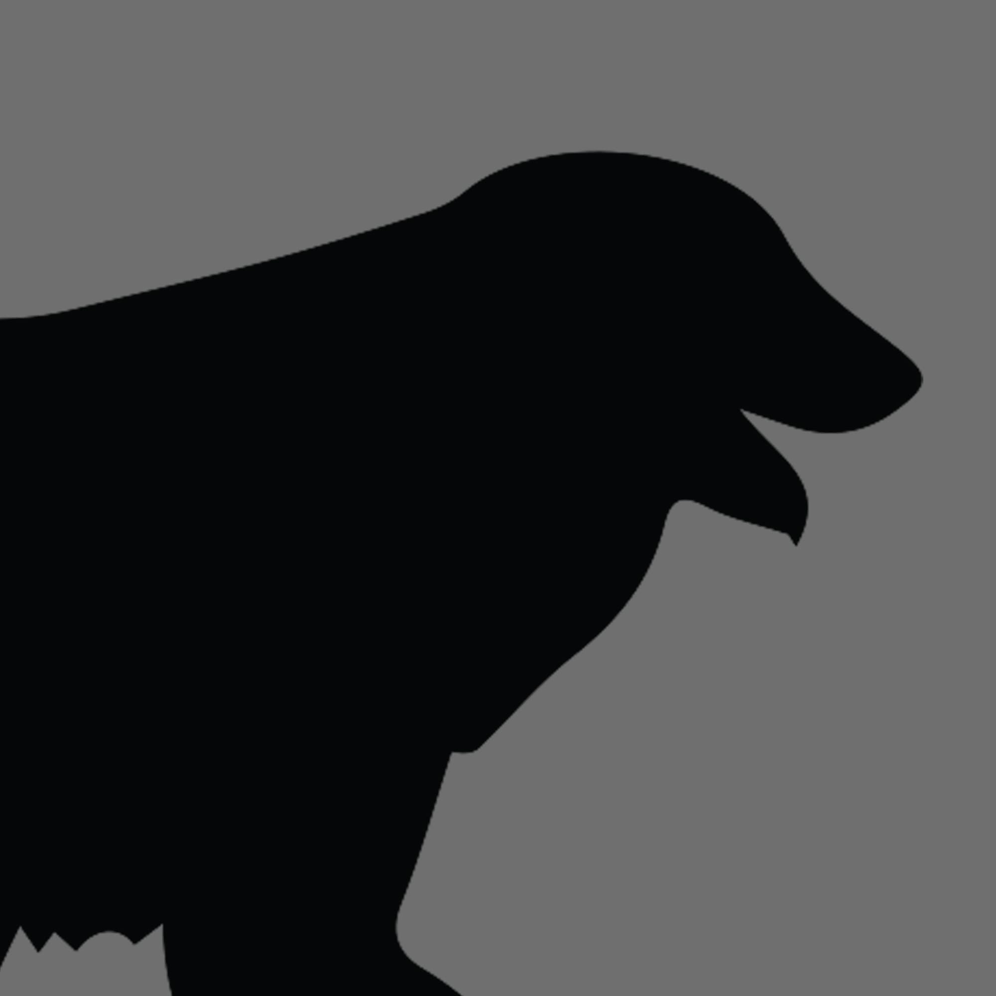 Dog Silhouette Square Estrela Mountain Dog