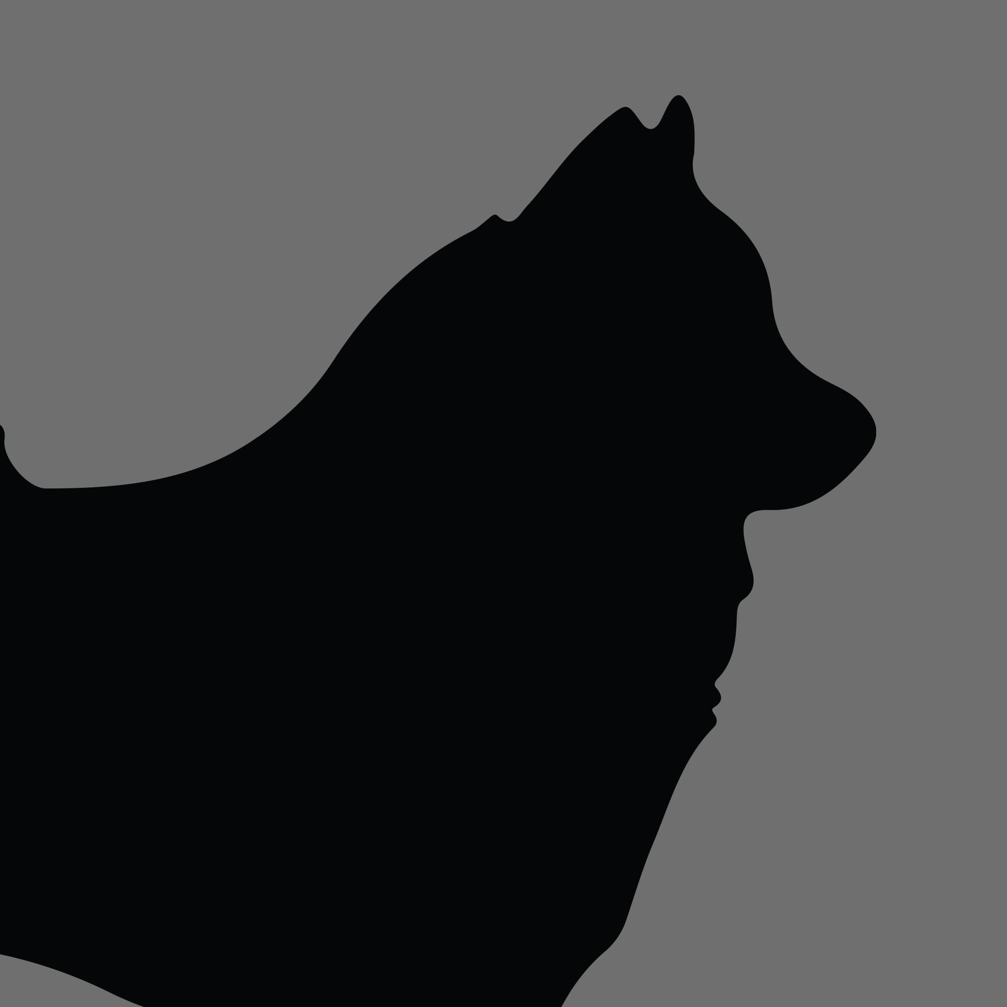 Dog Silhouette Square Eurasier