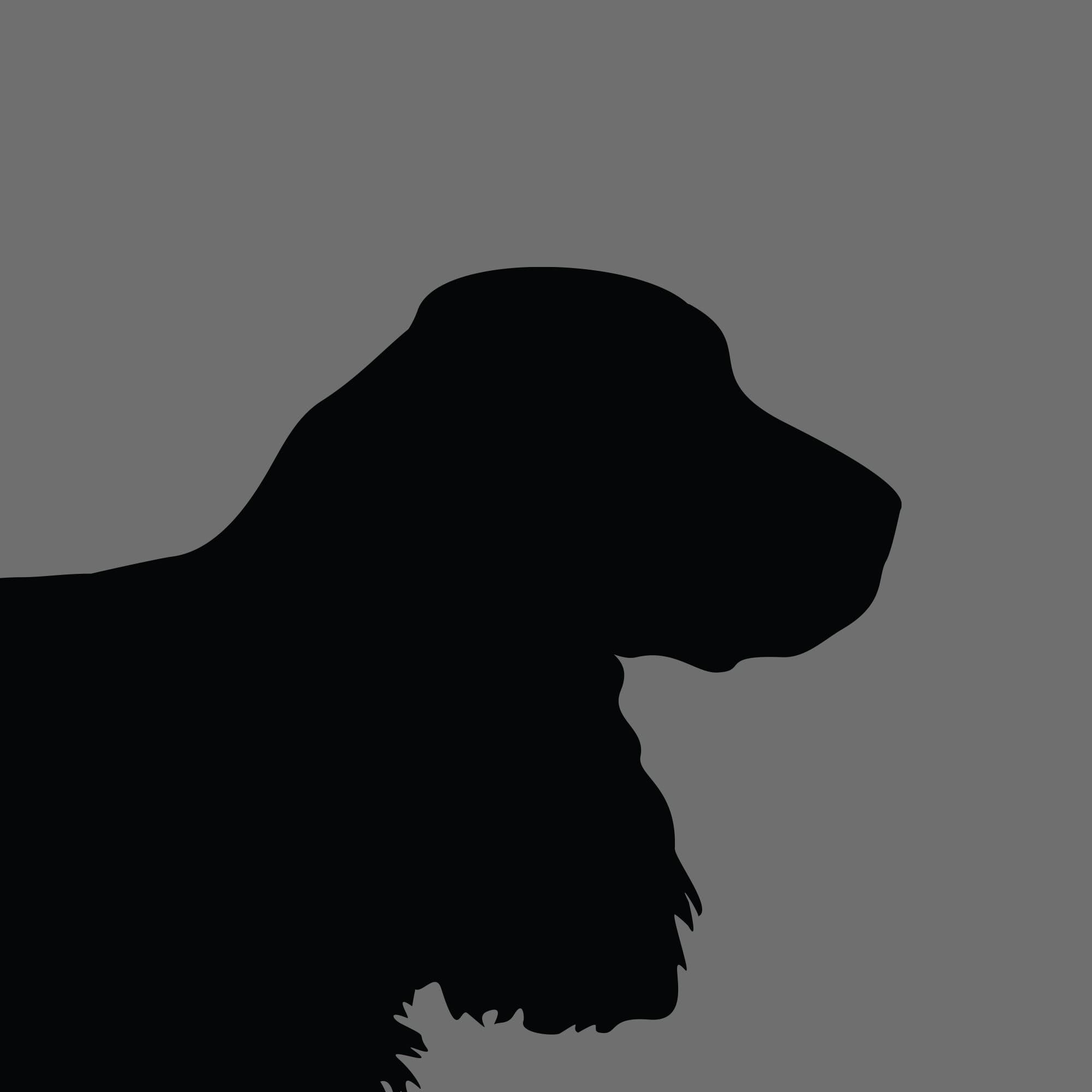 Dog Silhouette Square Field Spaniel e1618470251374