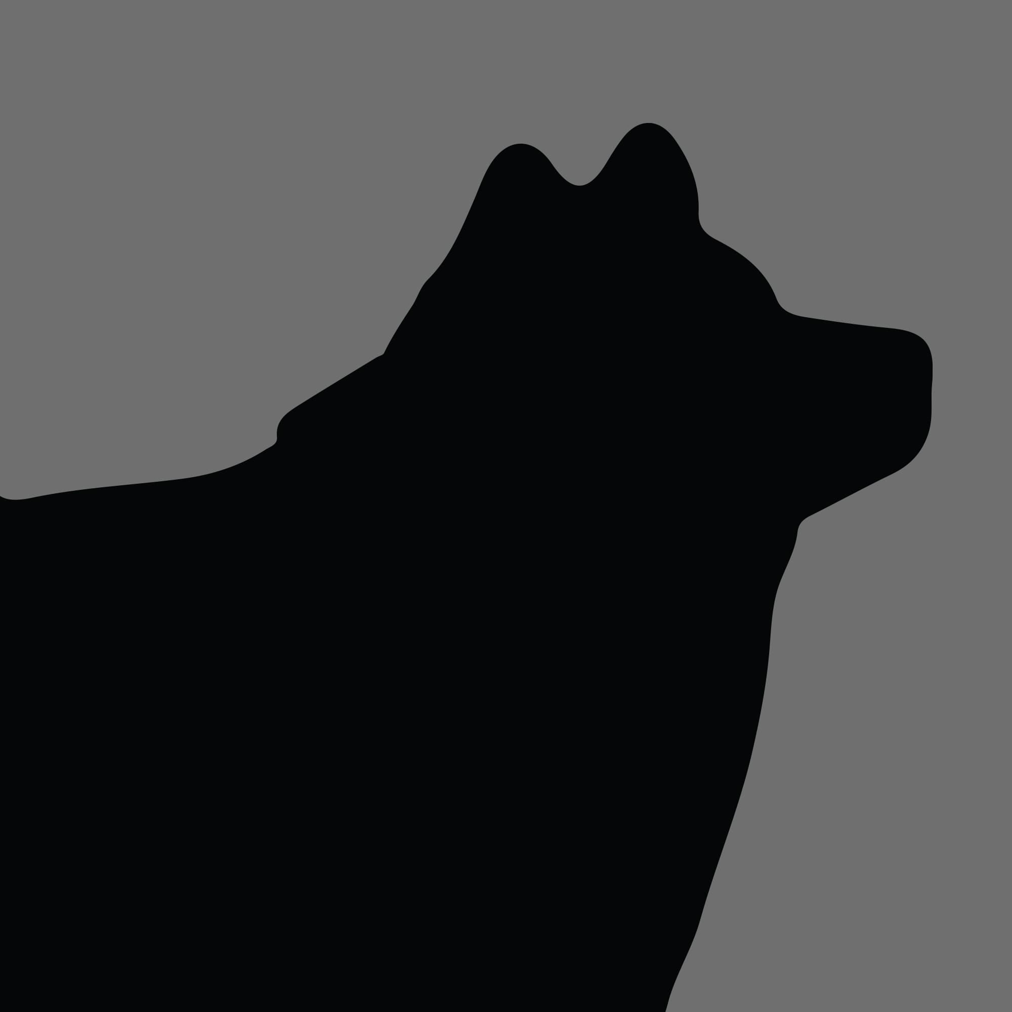 Dog Silhouette Square Finnish Lapphund