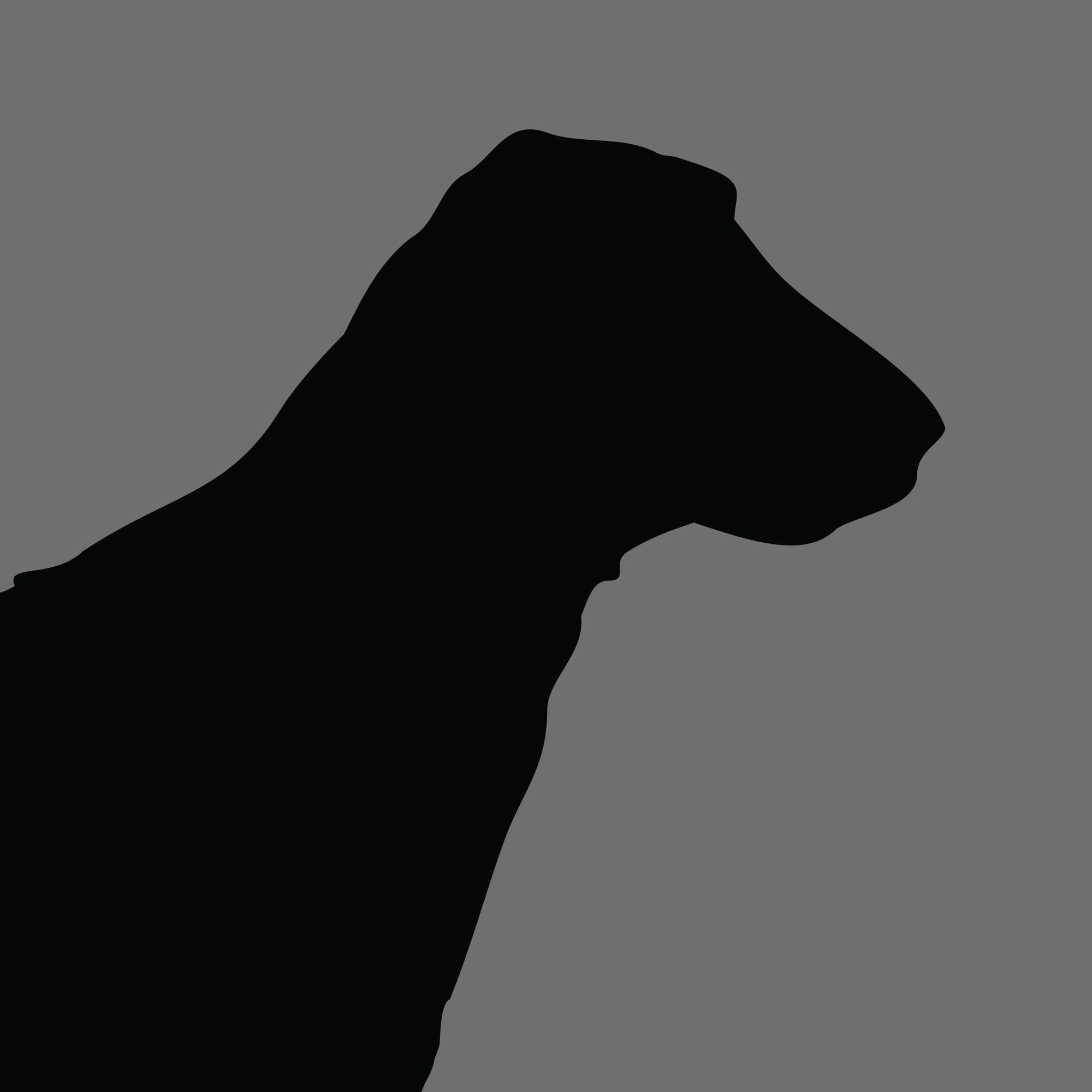Dog Silhouette Square Flat Coated Retriever