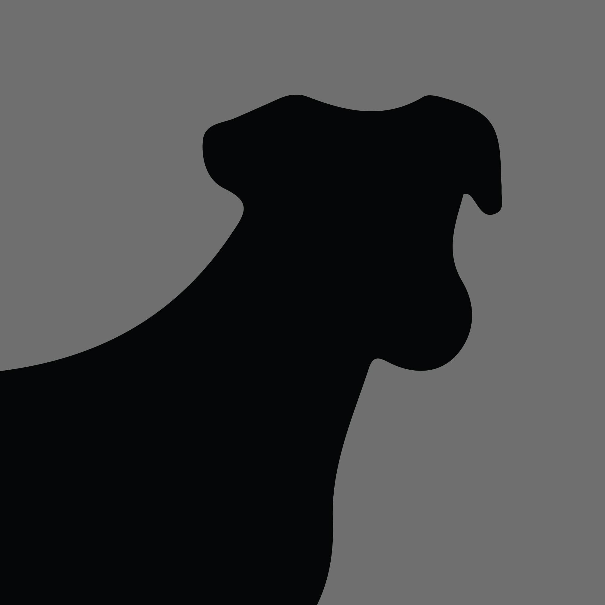 Dog Silhouette Square Fox Terrier Smooth Coat e1618470357348
