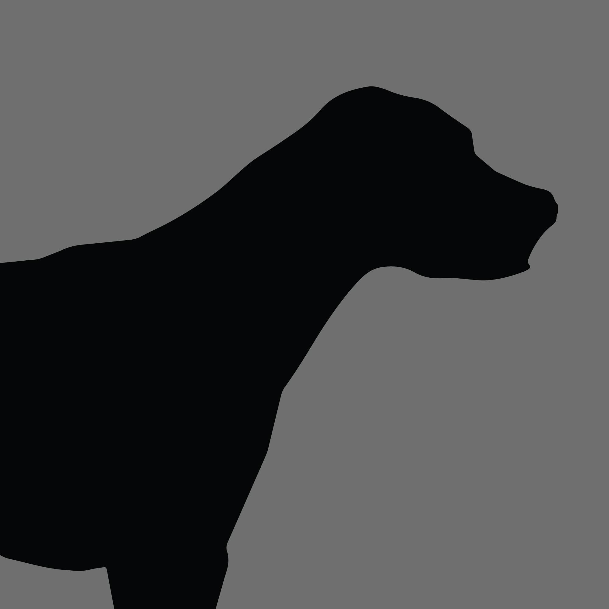 Dog Silhouette Square Foxhound e1618470316885
