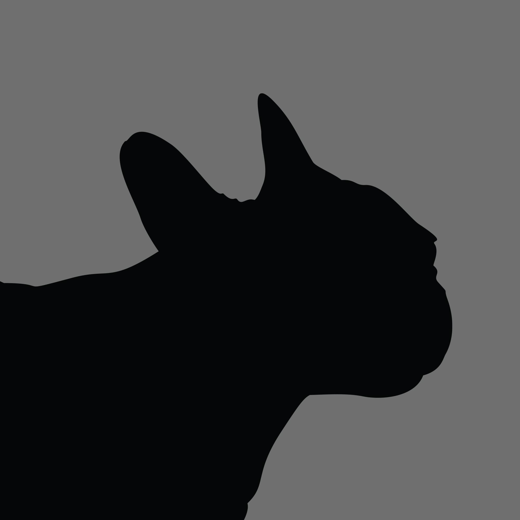Dog Silhouette Square French Bulldog