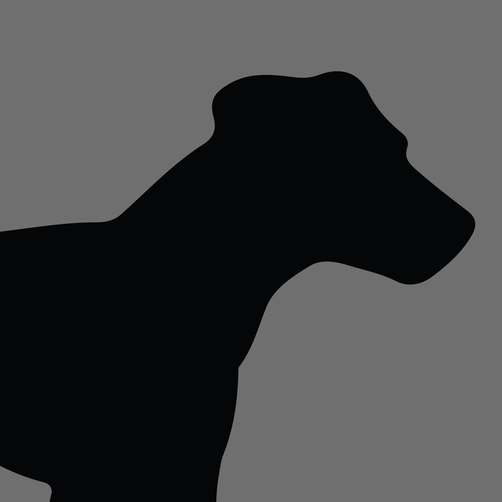 Dog Silhouette Square German Hunting Terrier e1618470404565