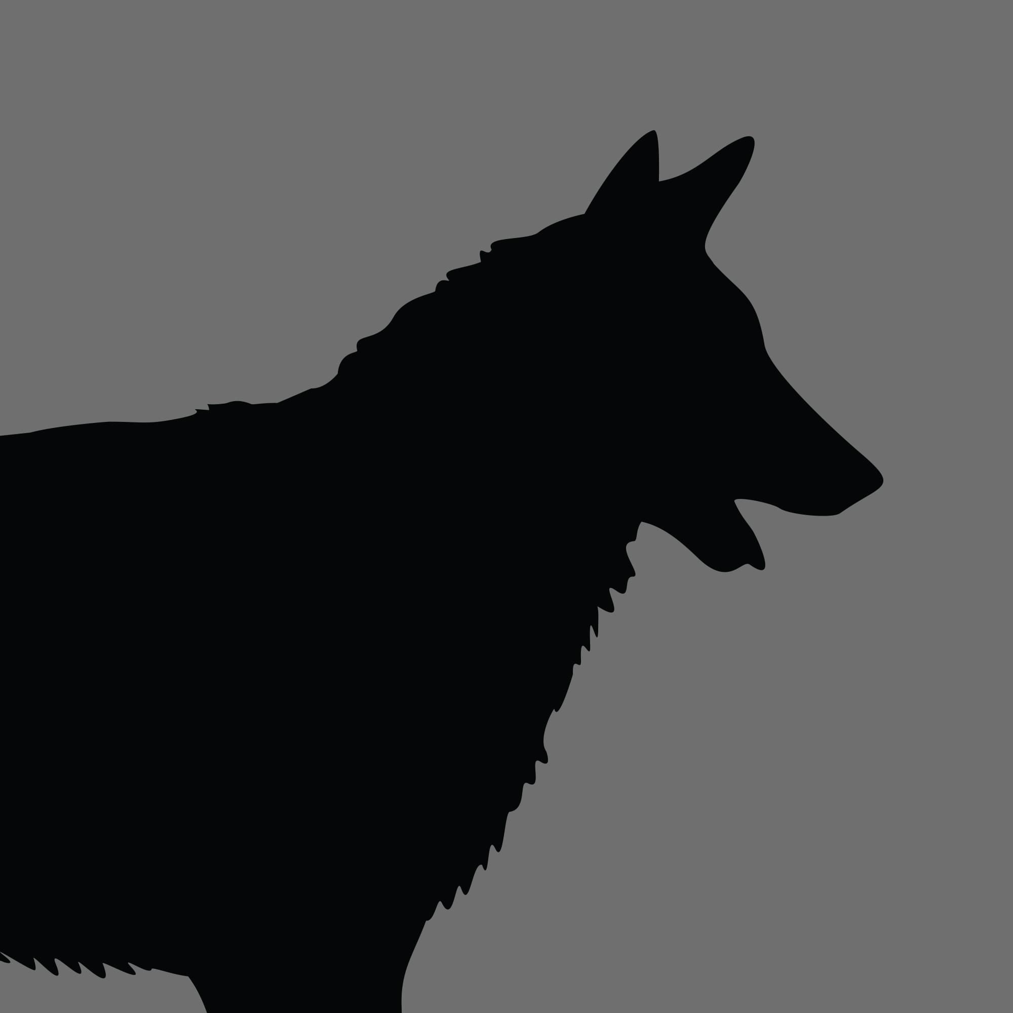 Dog Silhouette Square German Shepherd Dog 1