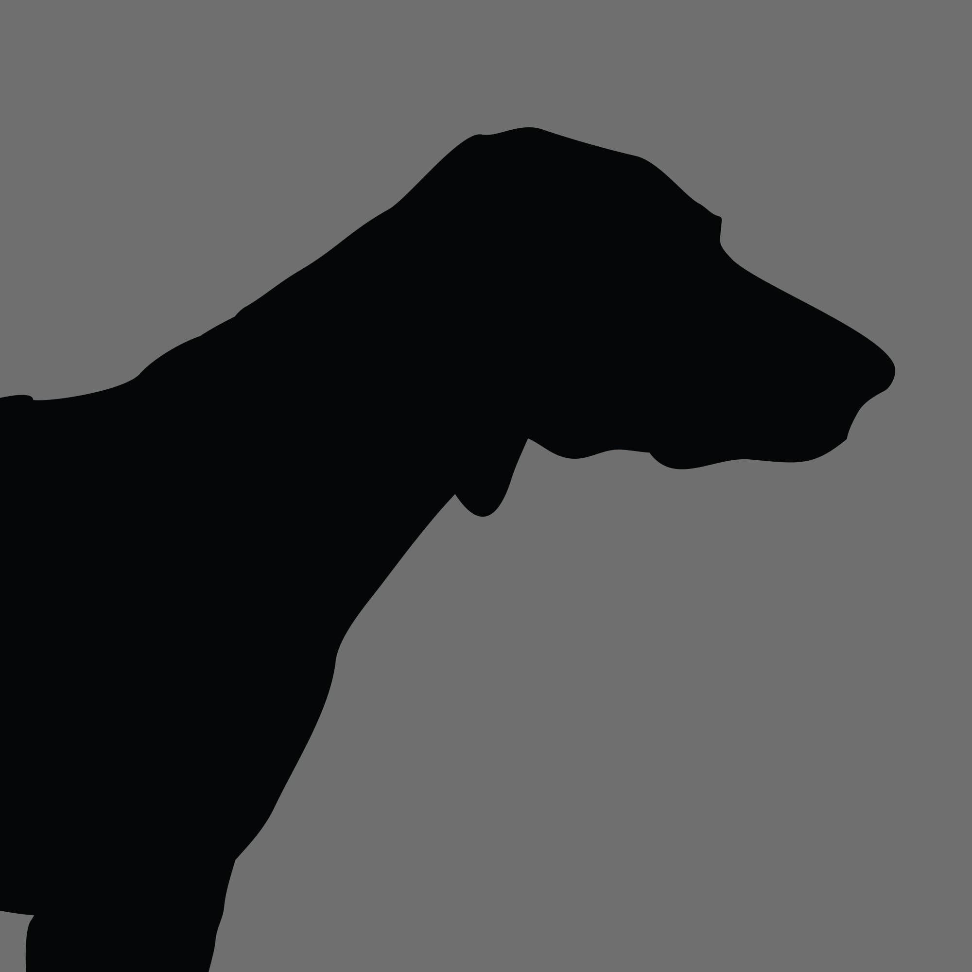 Dog Silhouette Square German Short Haired Pointer e1618470421969 1