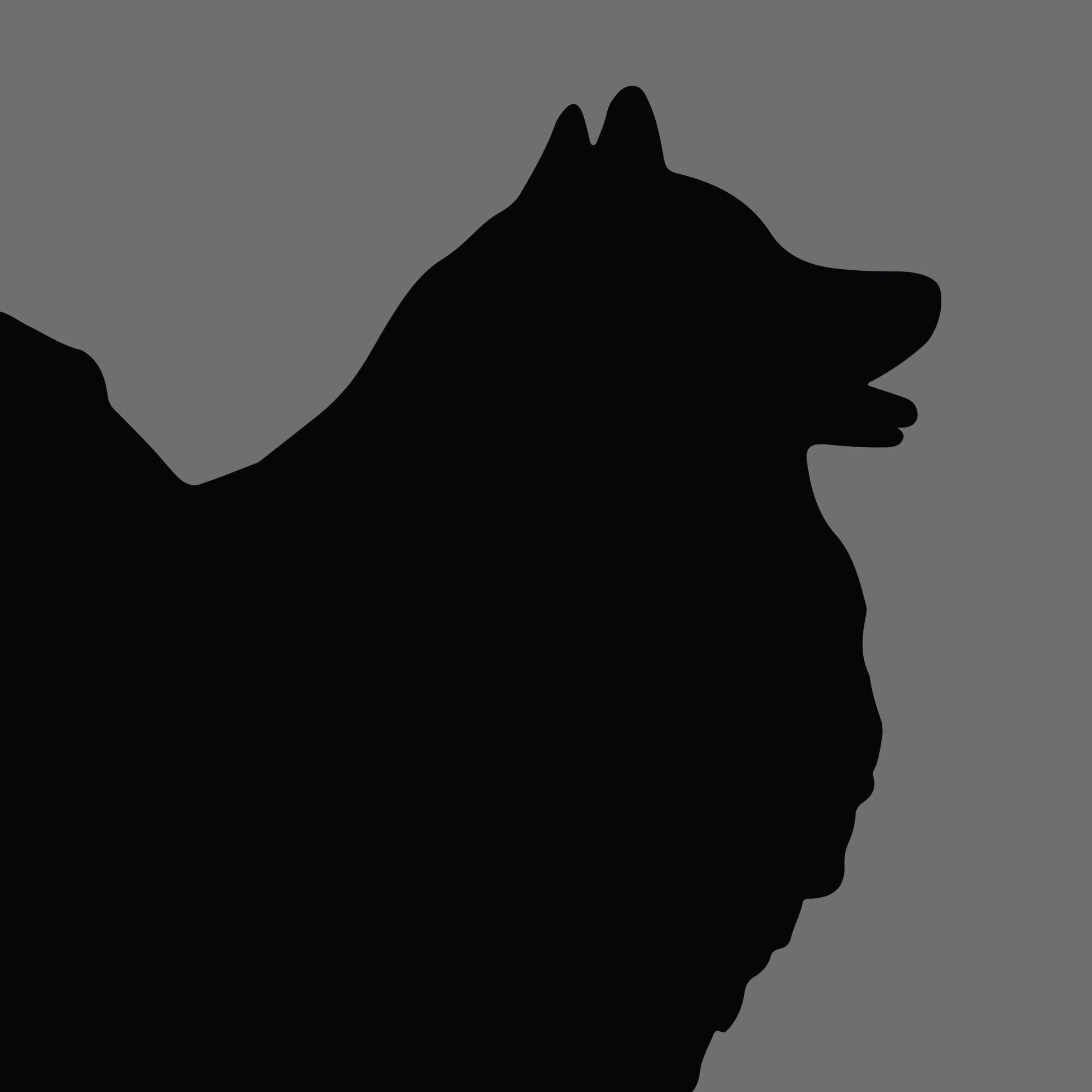 Dog Silhouette Square German Spitz e1618470435336 1
