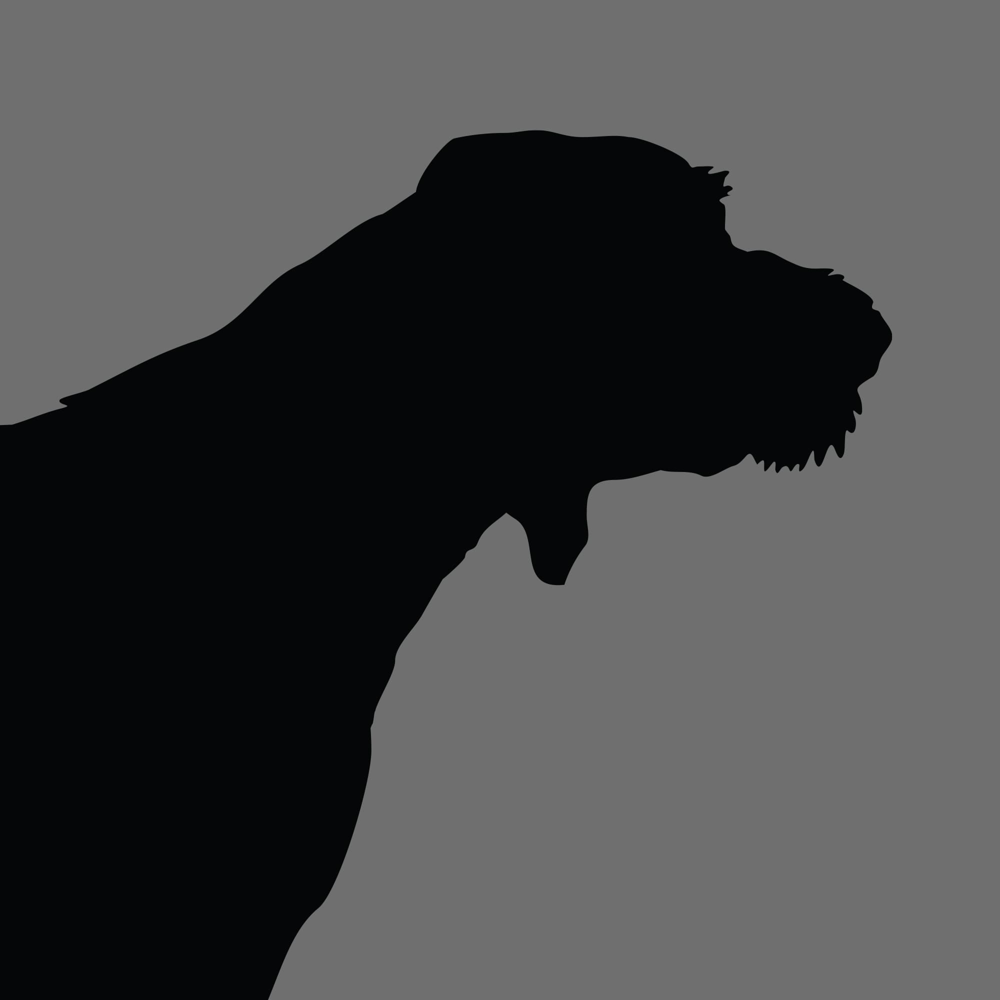 Dog Silhouette Square German Wire Haired Pointer 1