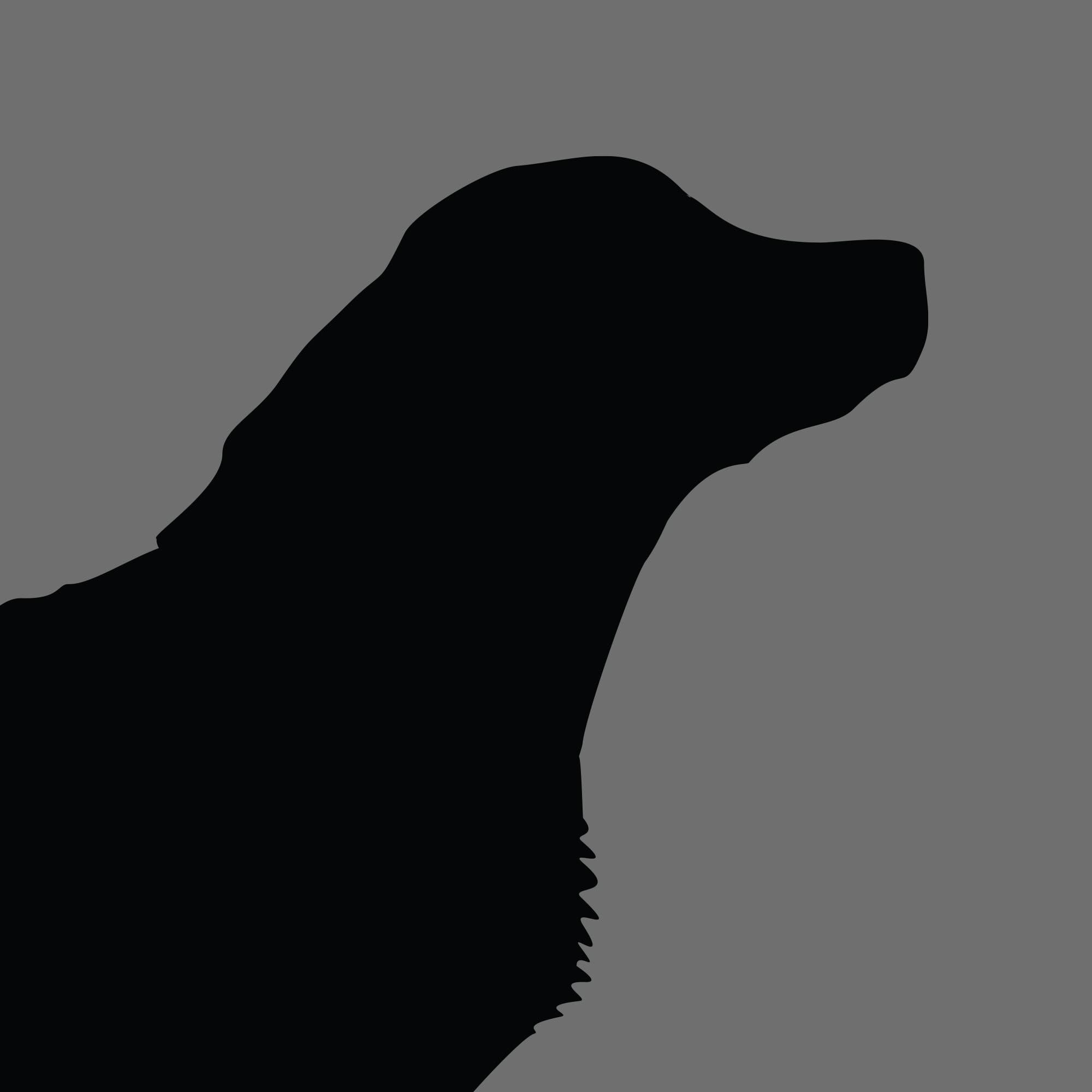 Dog Silhouette Square Golden Retriever e1618471537173