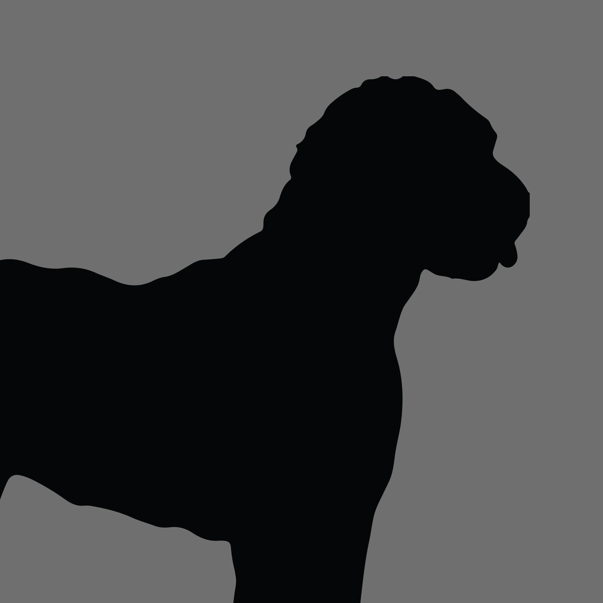 Dog Silhouette Square Goldendoodle