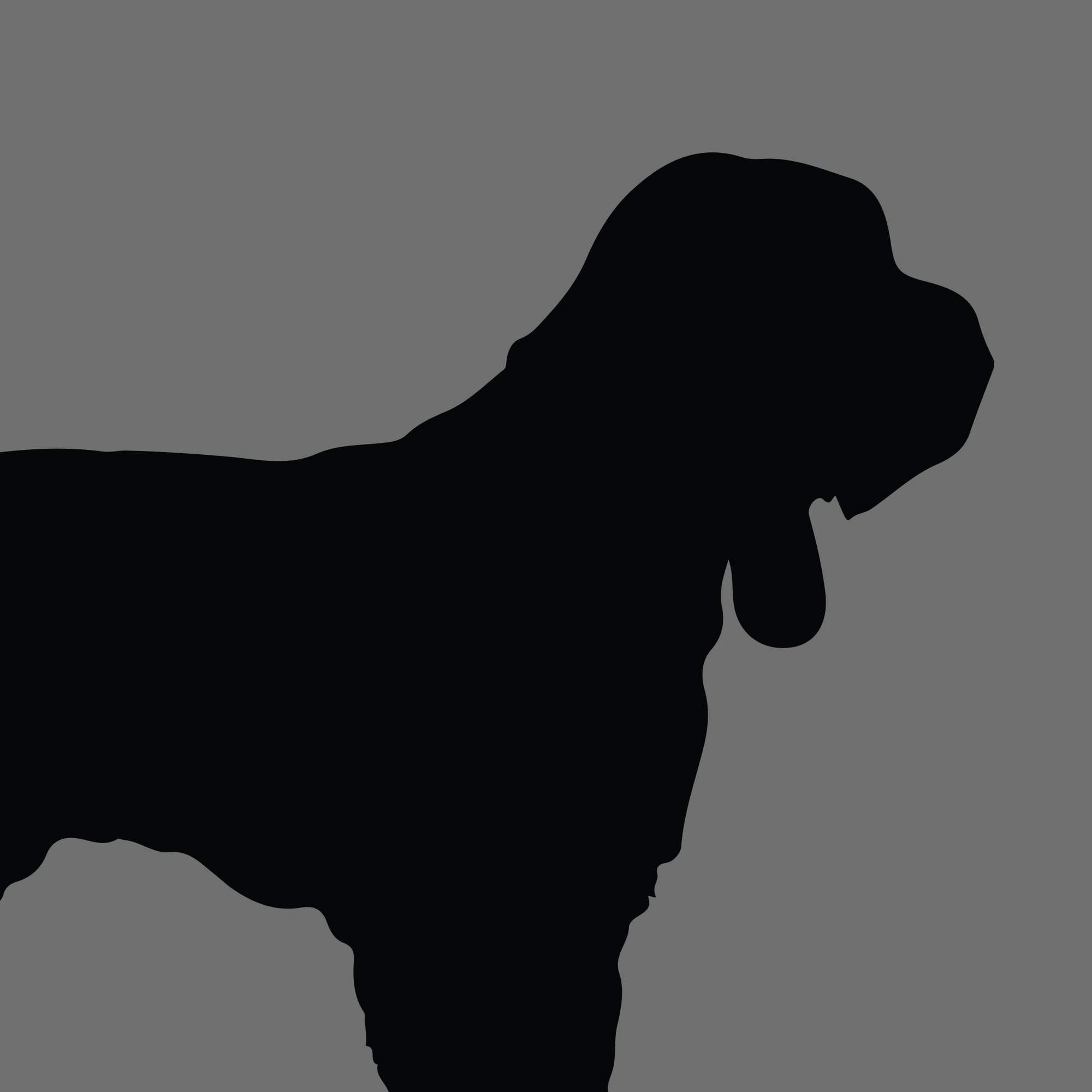 Dog Silhouette Square Grand Basset Griffon Vendeen