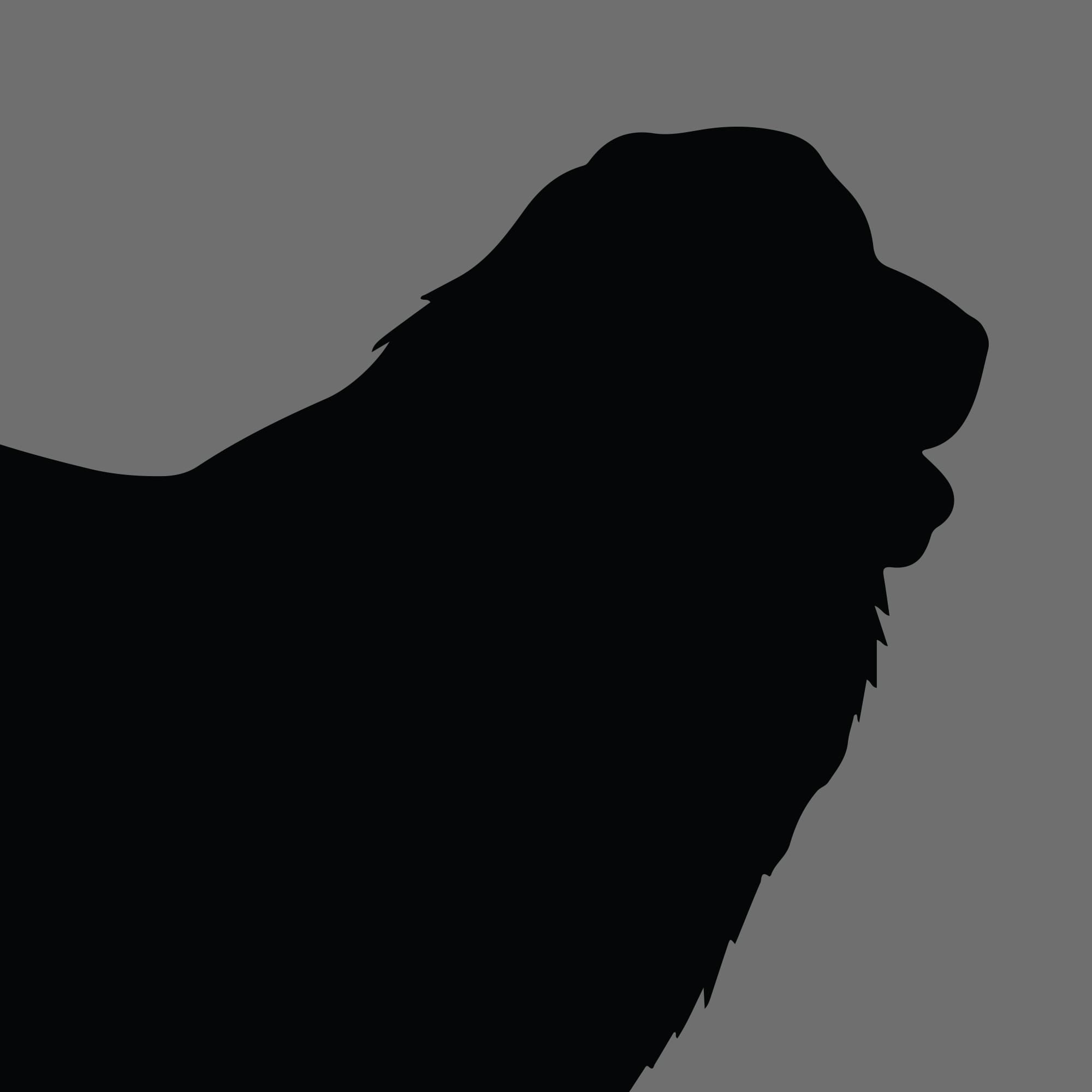 Dog Silhouette Square Great Pyrenean Mountain Dog