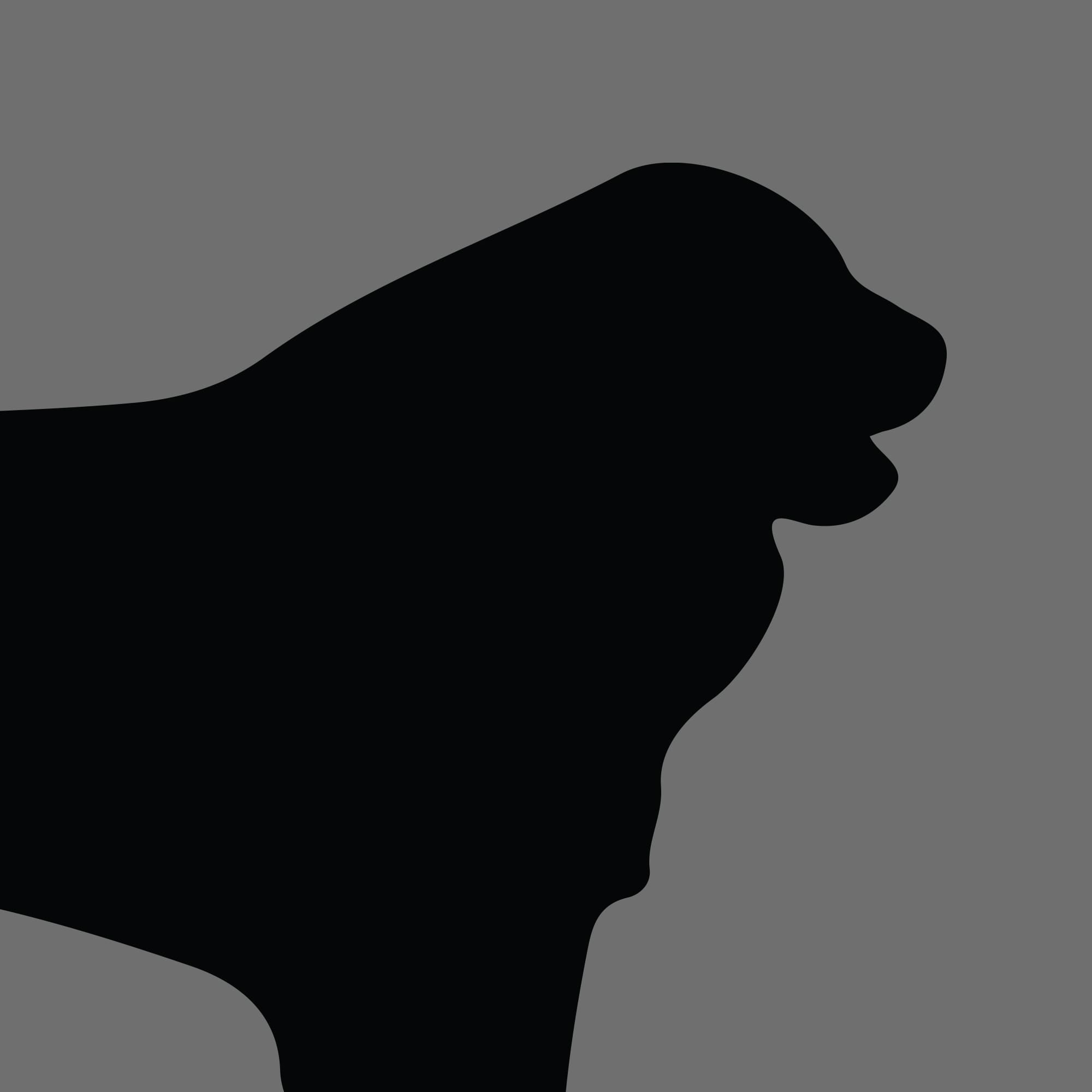 Dog Silhouette Square Great Pyrenees