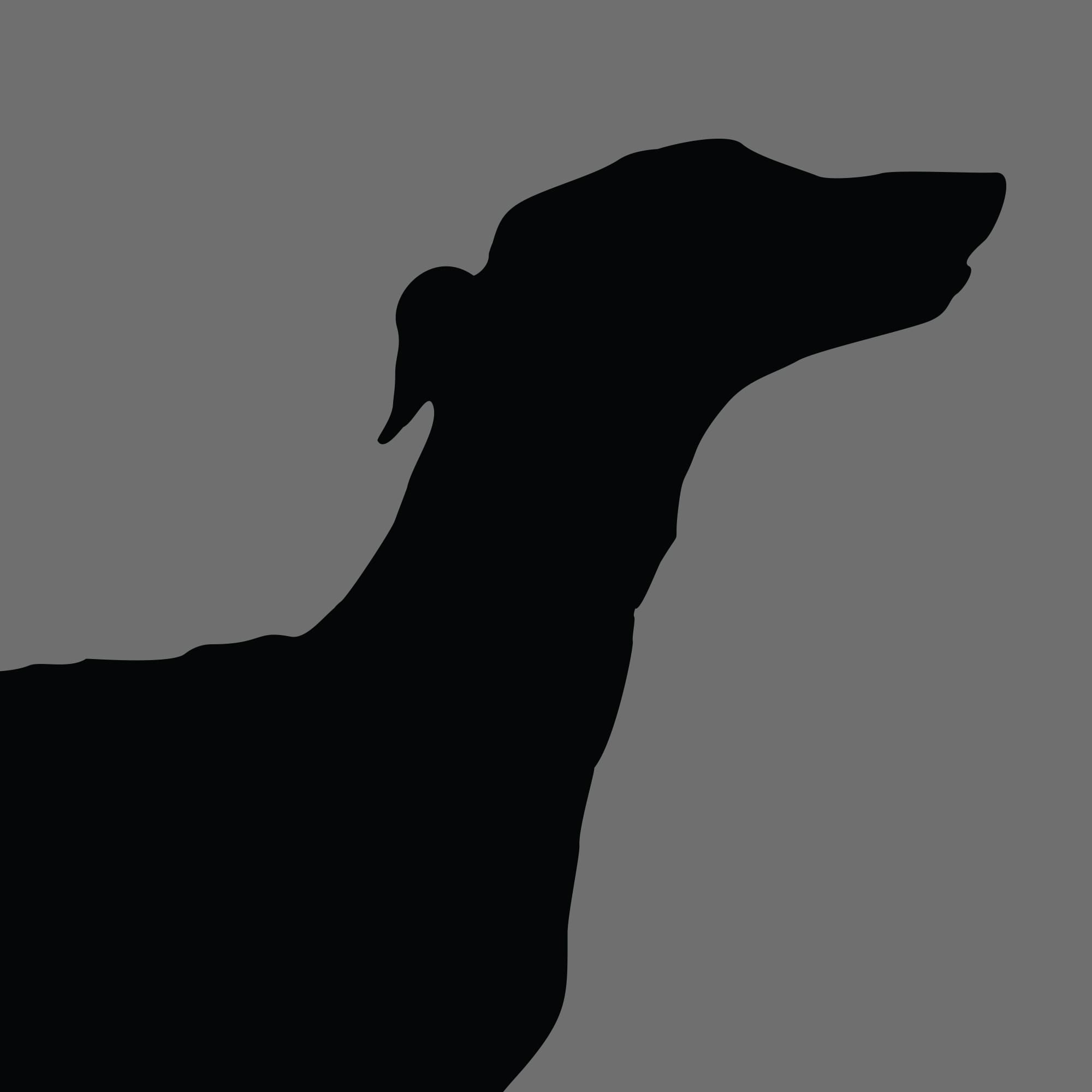 Dog Silhouette Square Greyhound