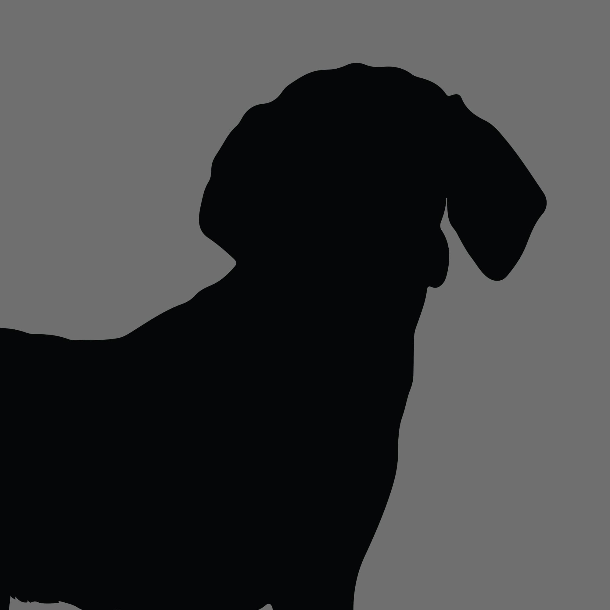 Dog Silhouette Square Harrier 1