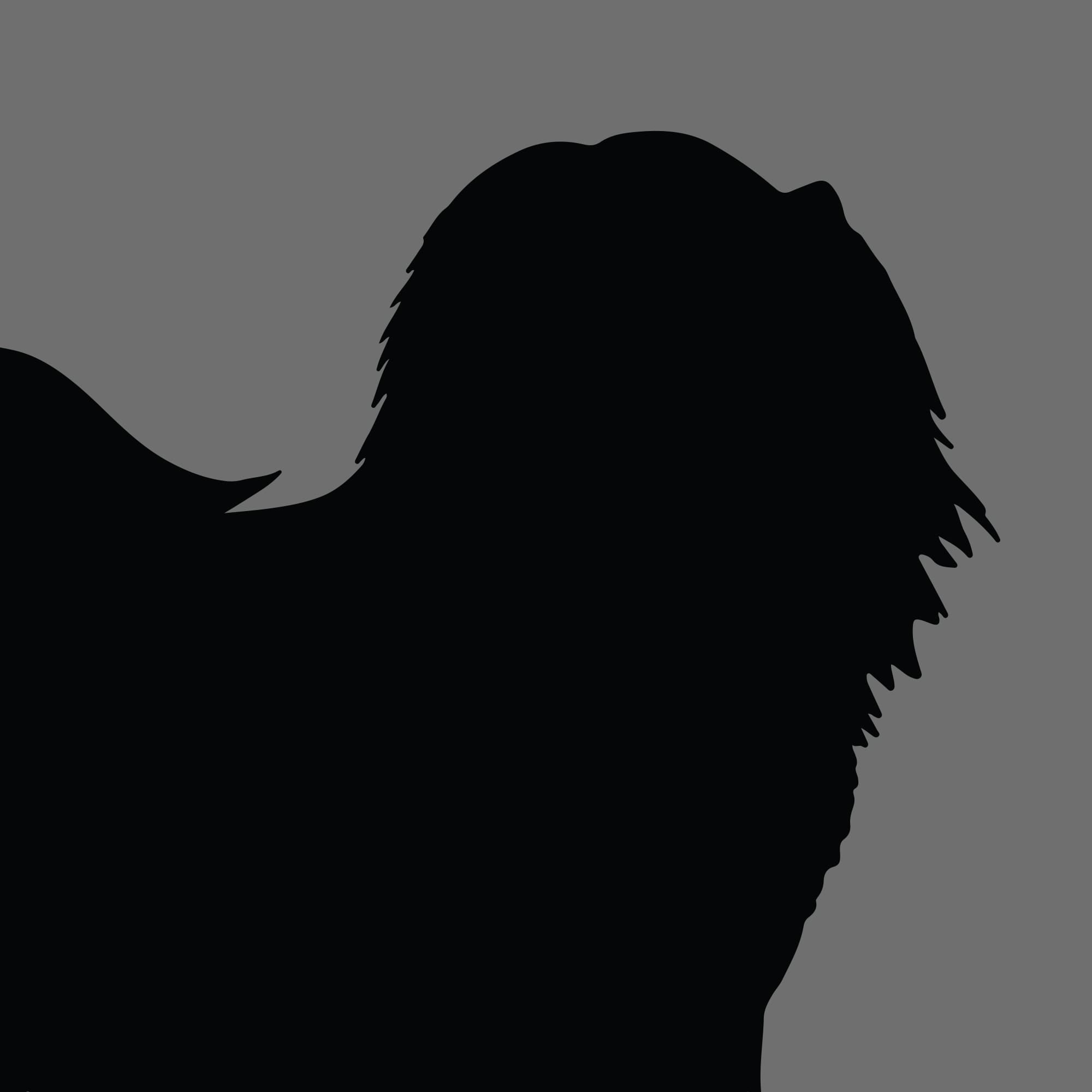 Dog Silhouette Square Havanese 1
