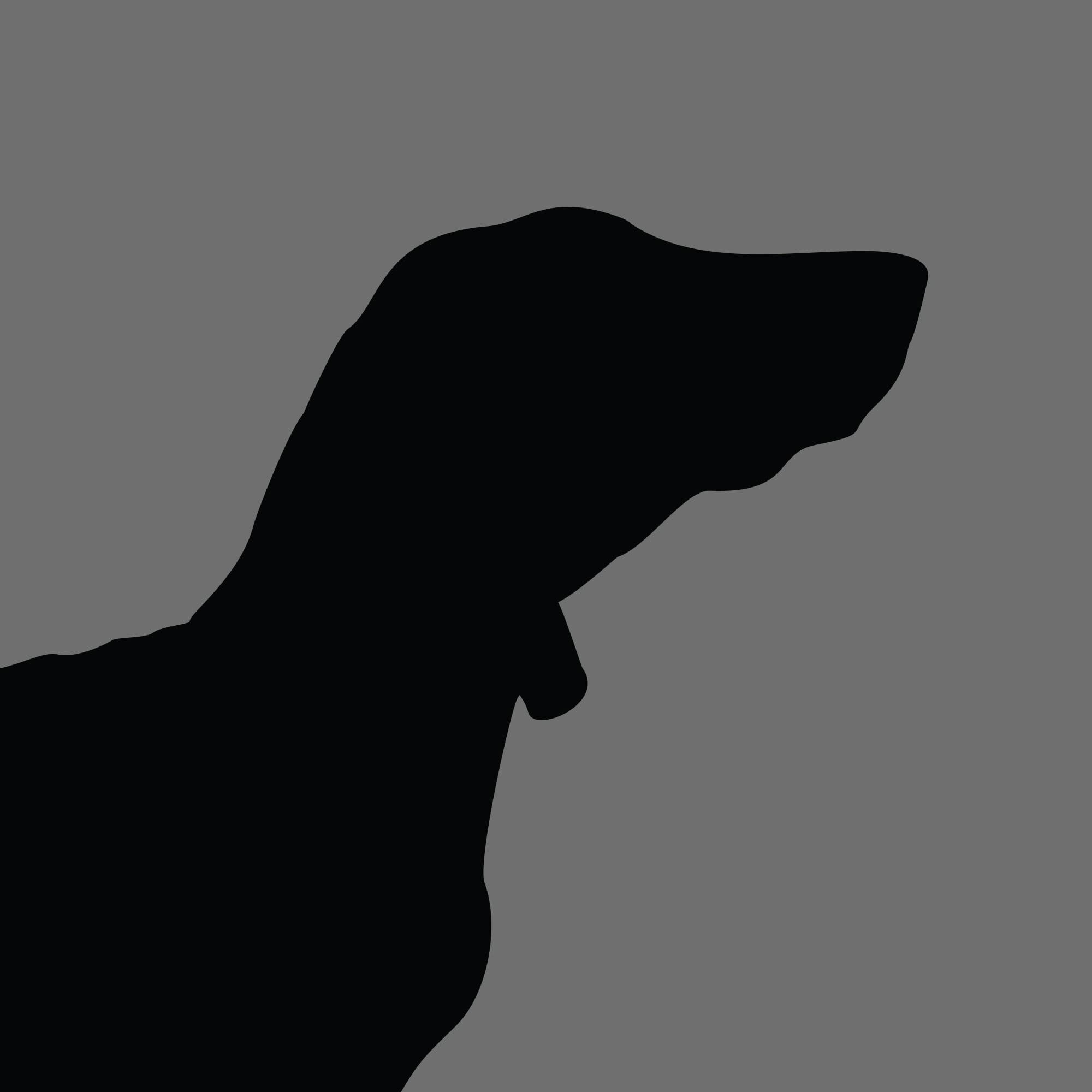 Dog Silhouette Square Hungarian Vizsla e1618471591316 1