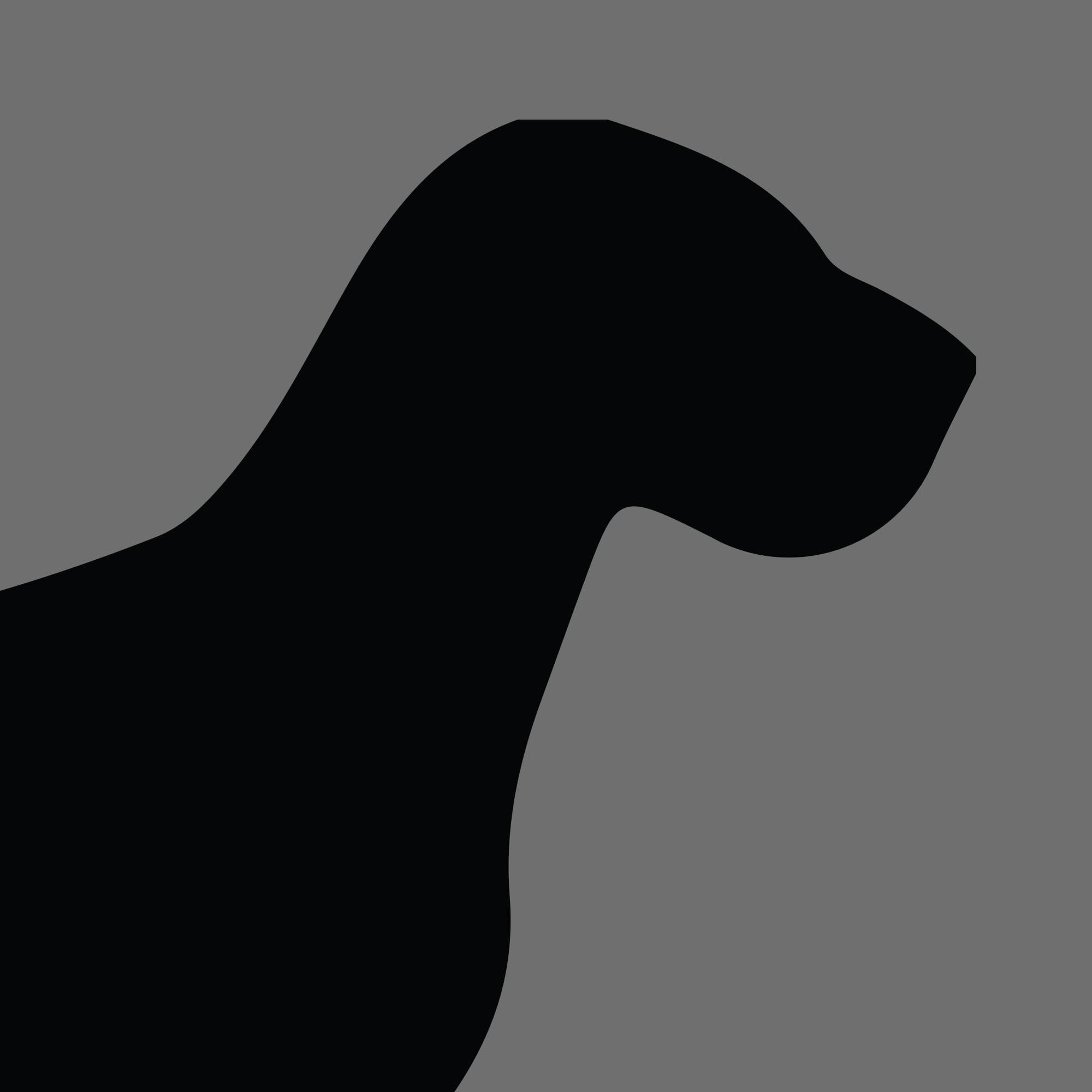 Dog Silhouette Square Hungarian Wire Haired Vizsla e1618471604263