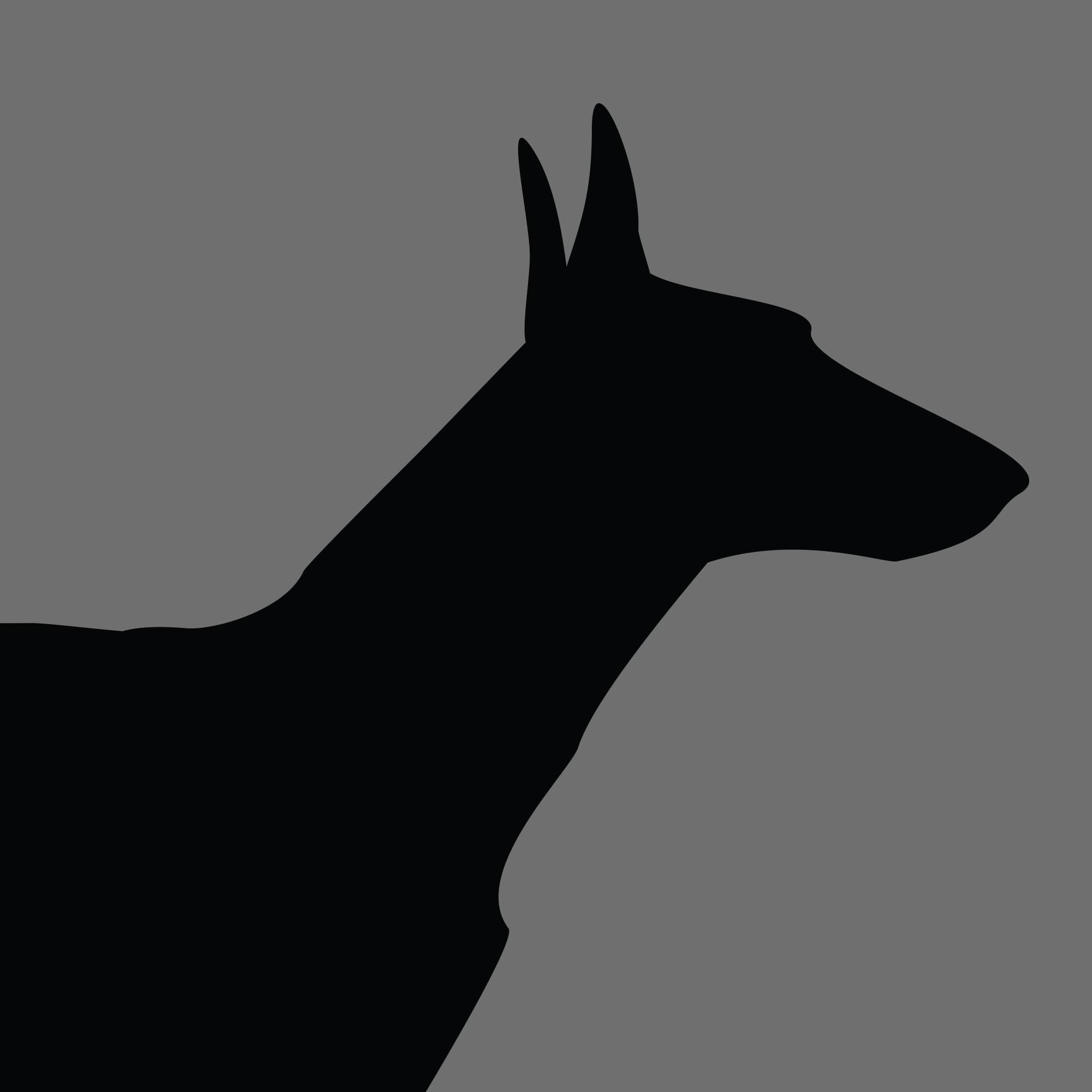 Dog Silhouette Square Ibizan Hound e1618471616669