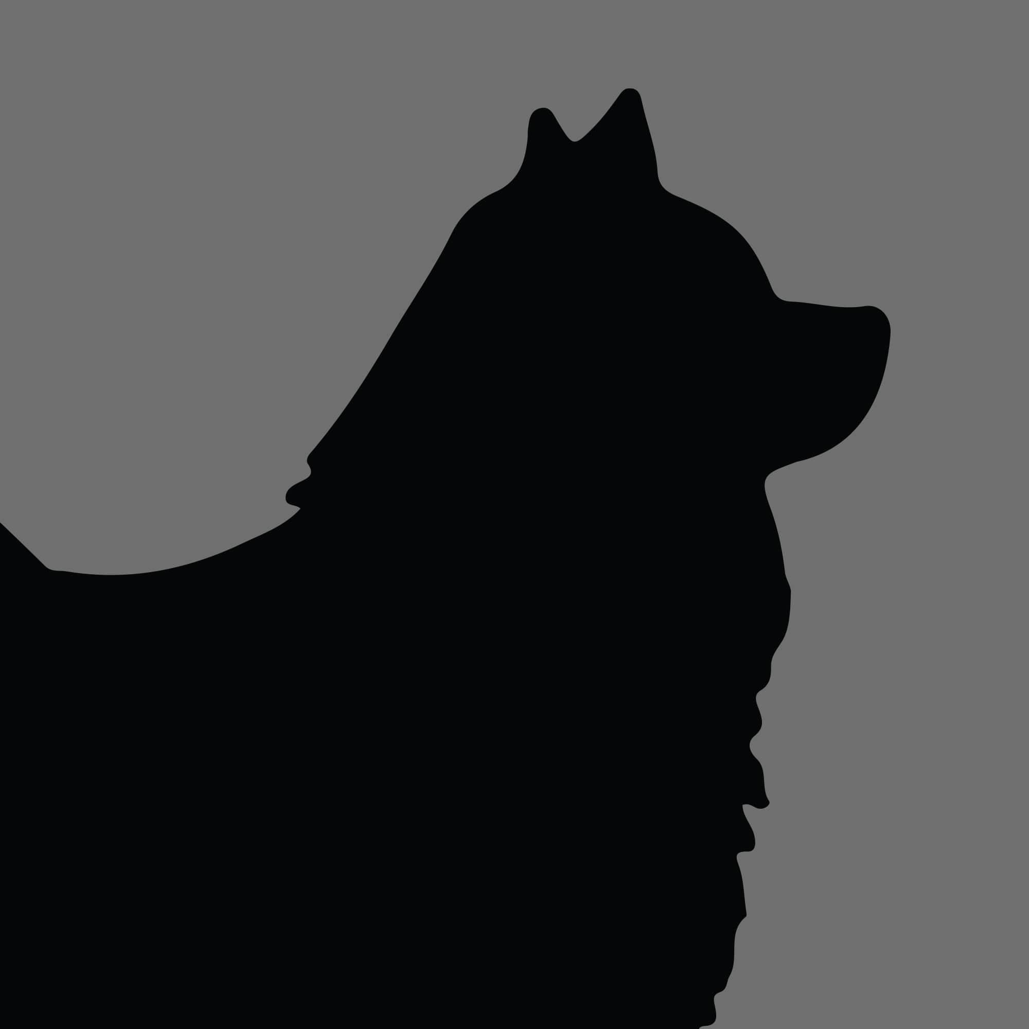 Dog Silhouette Square Icelandic Sheepdog