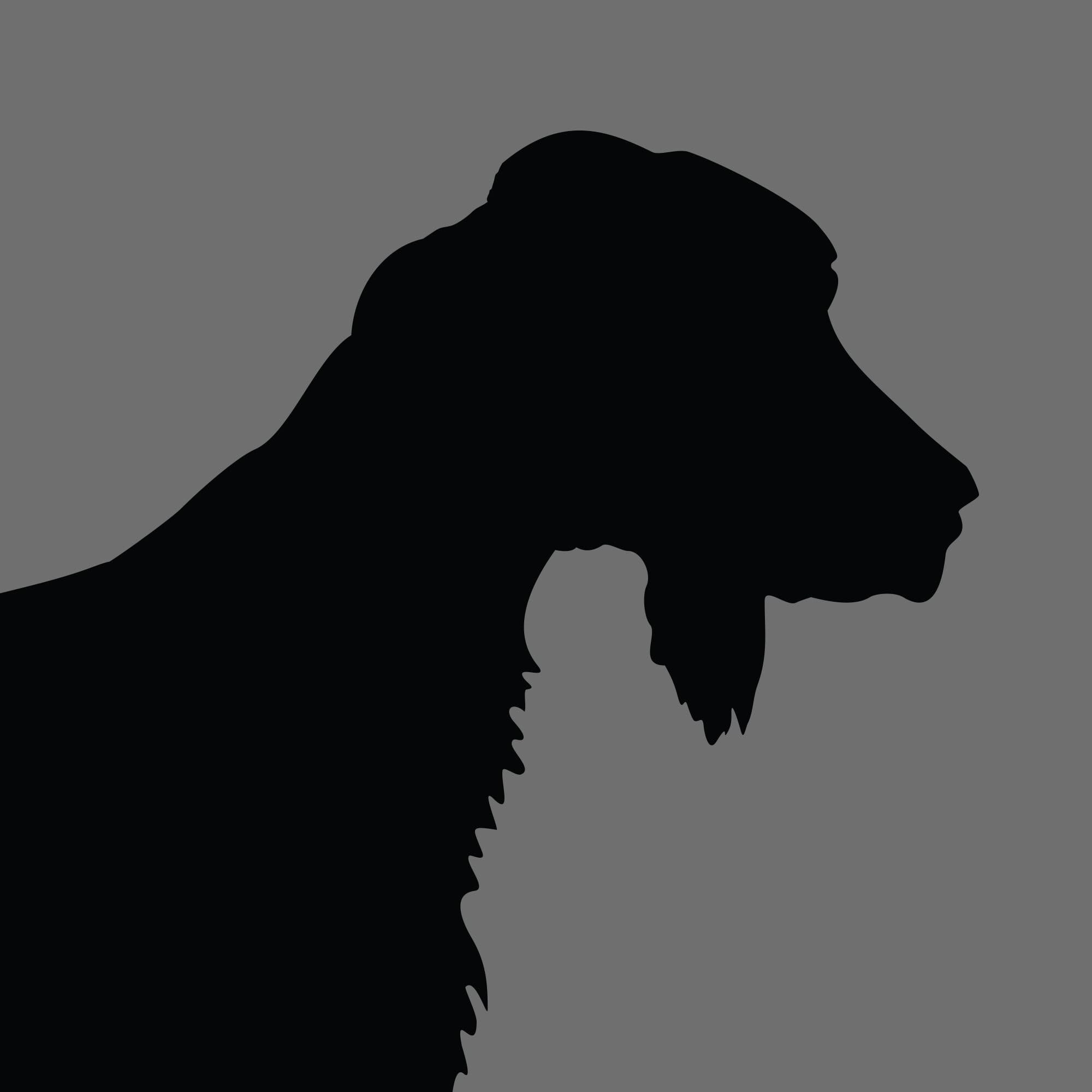 Dog Silhouette Square Irish Red White Setter e1618471646769