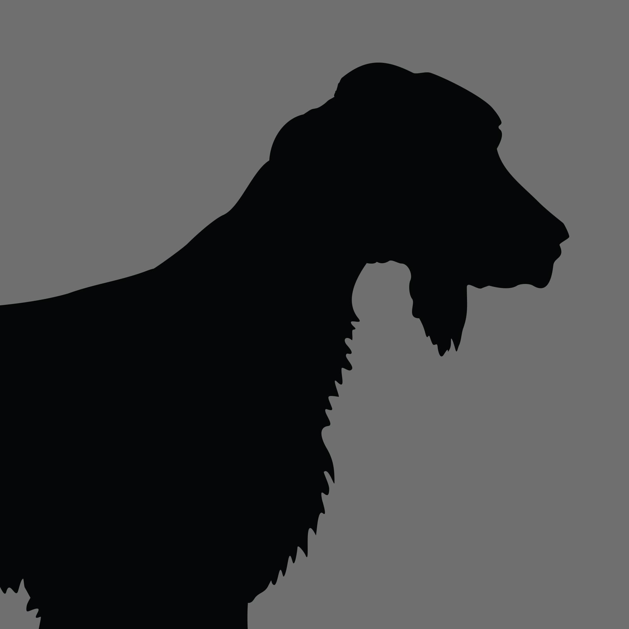 Dog Silhouette Square Irish Setter e1618471634135