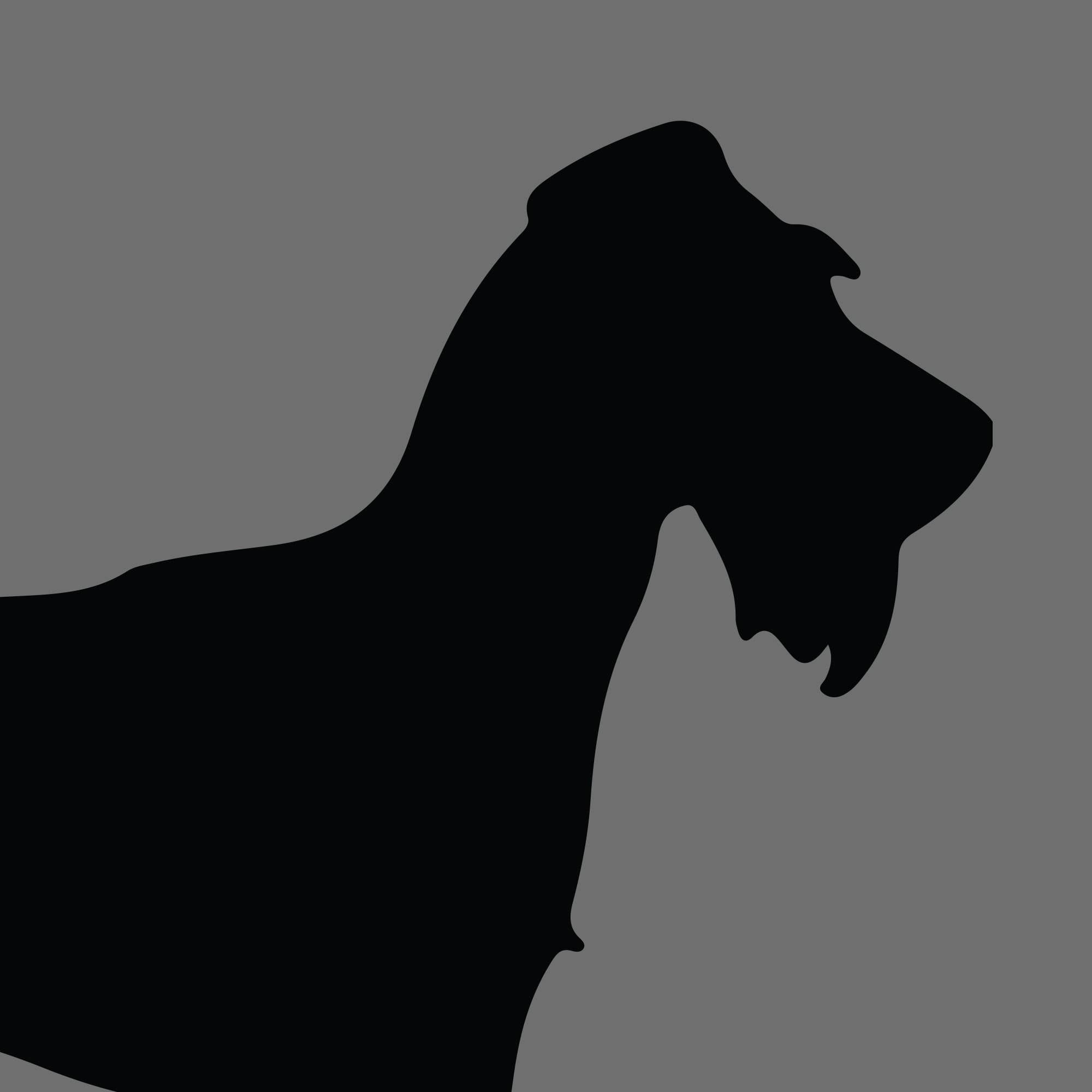 Dog Silhouette Square Irish Terrier