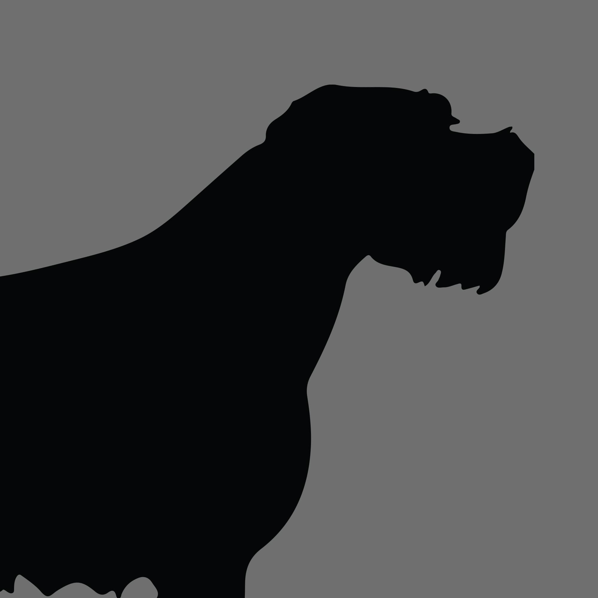 Dog Silhouette Square Irish Wolfhound