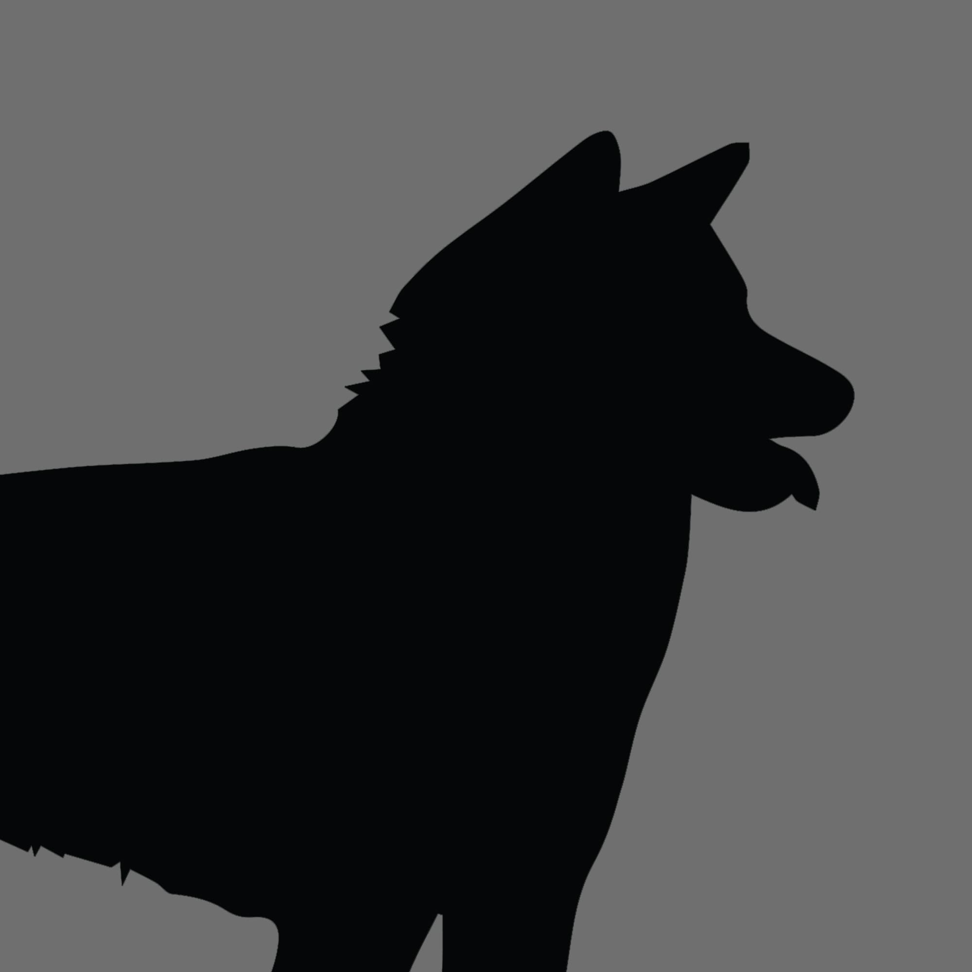 Dog Silhouette Square Japanese Akita