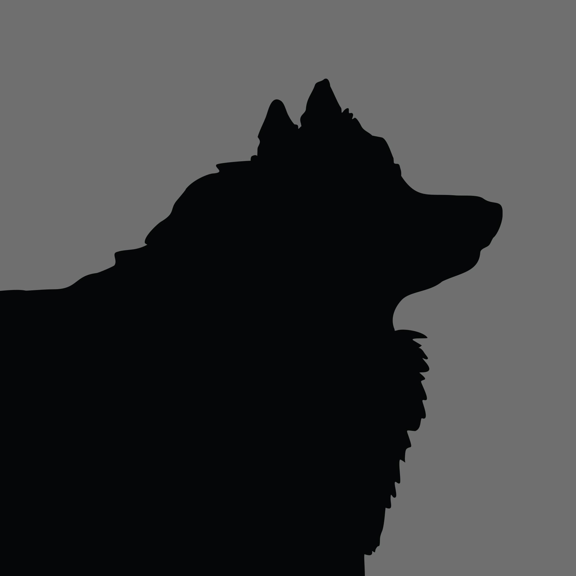 Dog Silhouette Square Japanese Spitz