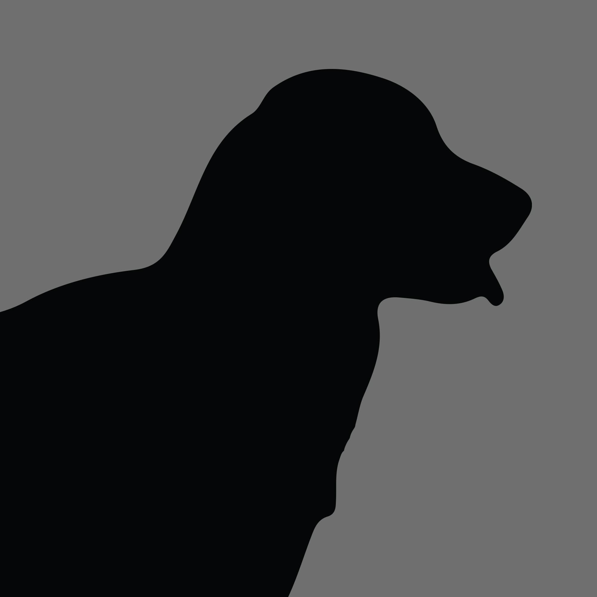 Dog Silhouette Square Kangal Shepherd Dog e1618471808110 1
