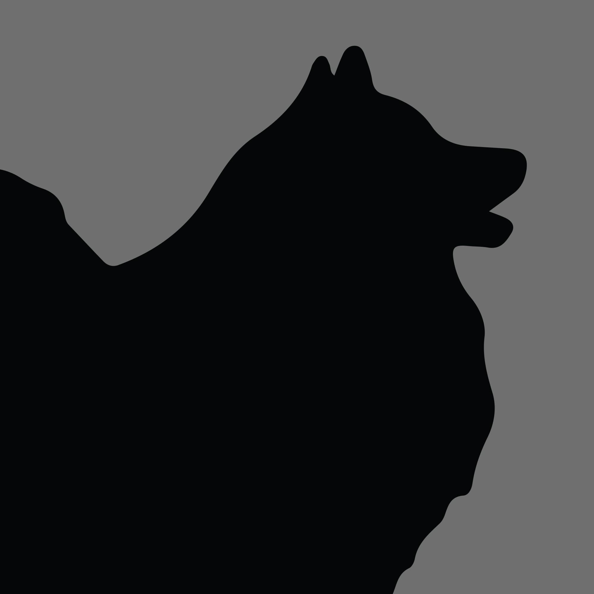 Dog Silhouette Square Keeshond e1618472482953 1