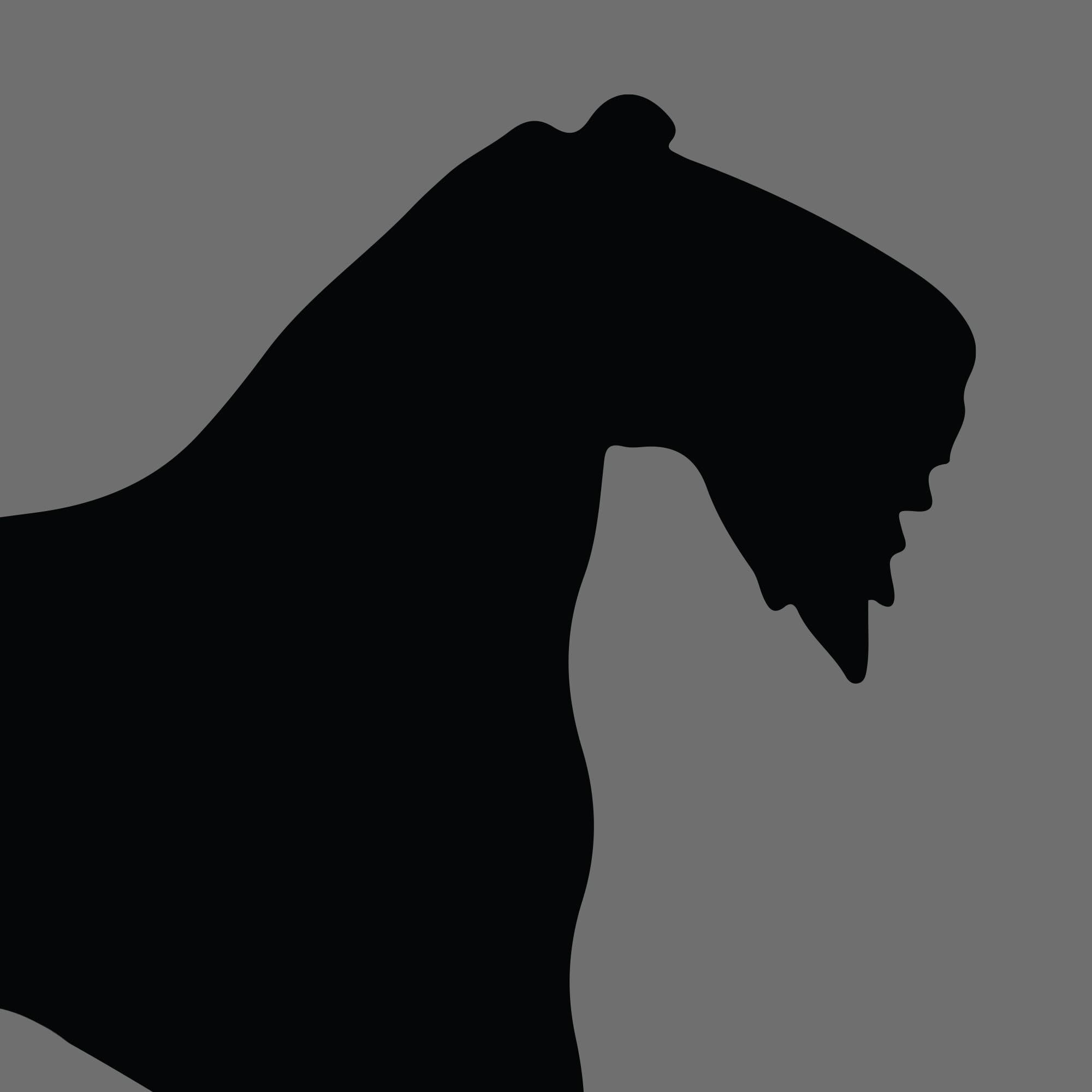 Dog Silhouette Square Kerry Blue Terrier e1618472502482 1