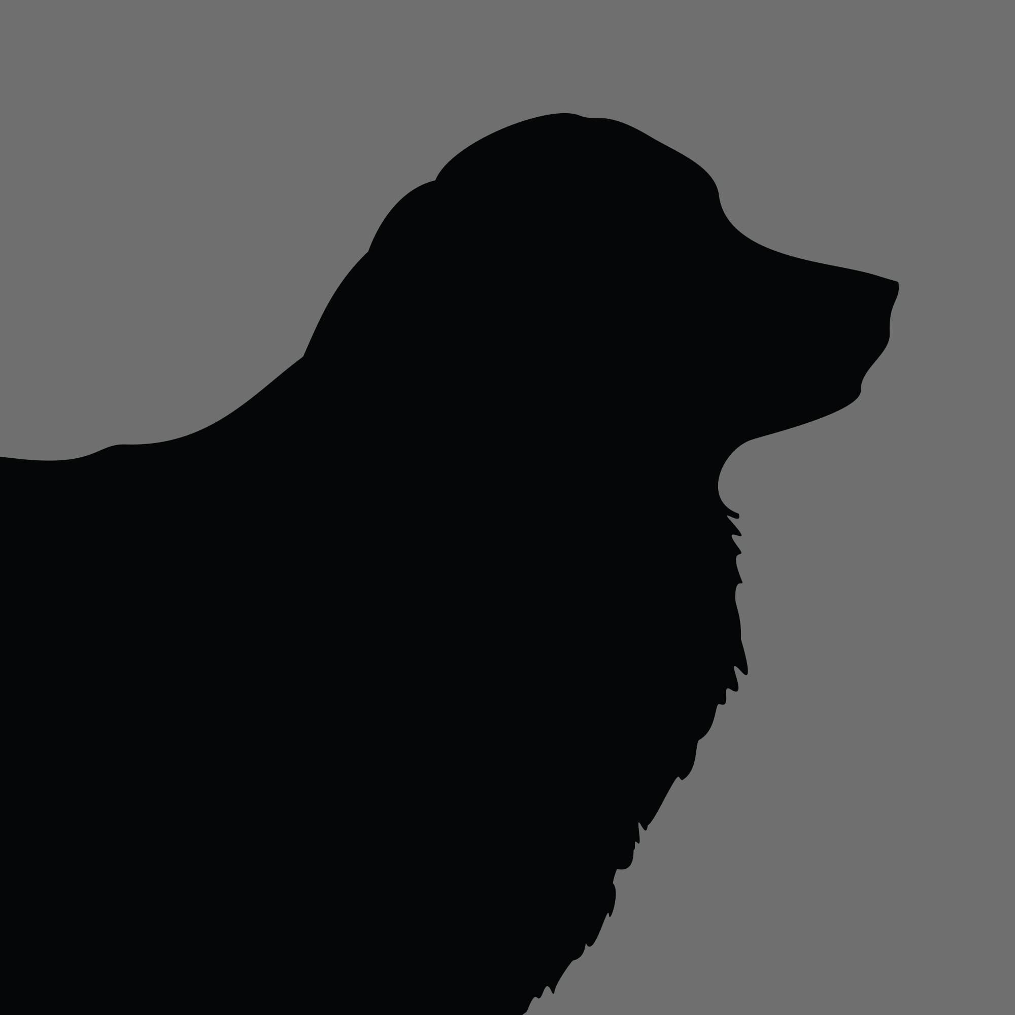 Dog Silhouette Square Kuvasz e1618472543375