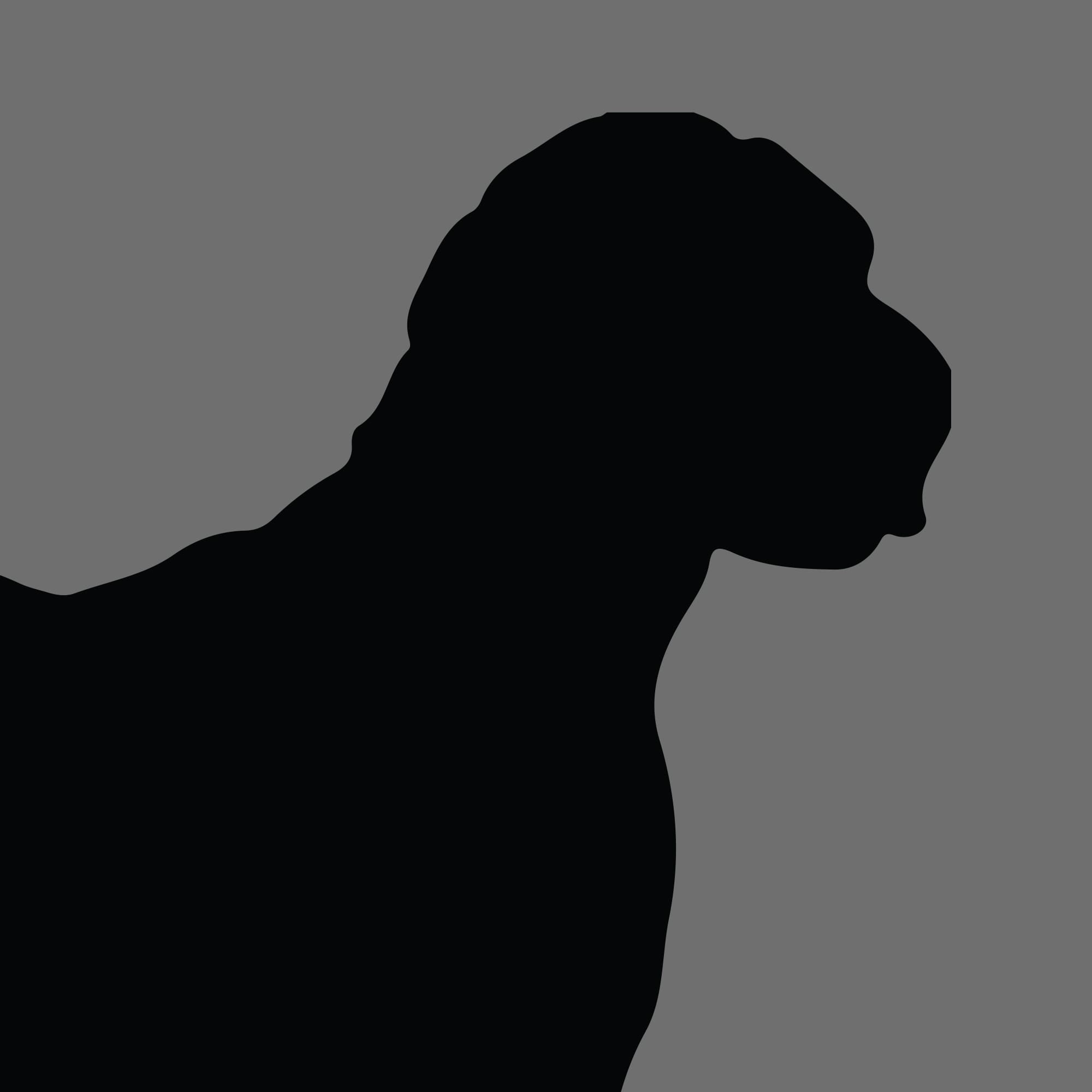 Dog Silhouette Square Labradoodle 1