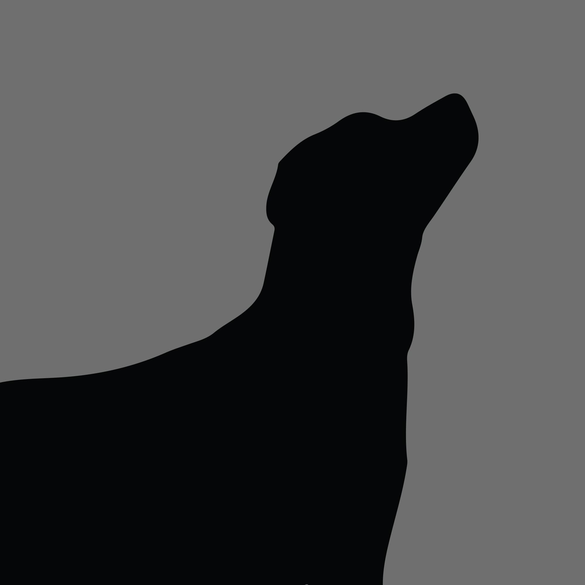 Dog Silhouette Square Labrador Retriever e1618472562964