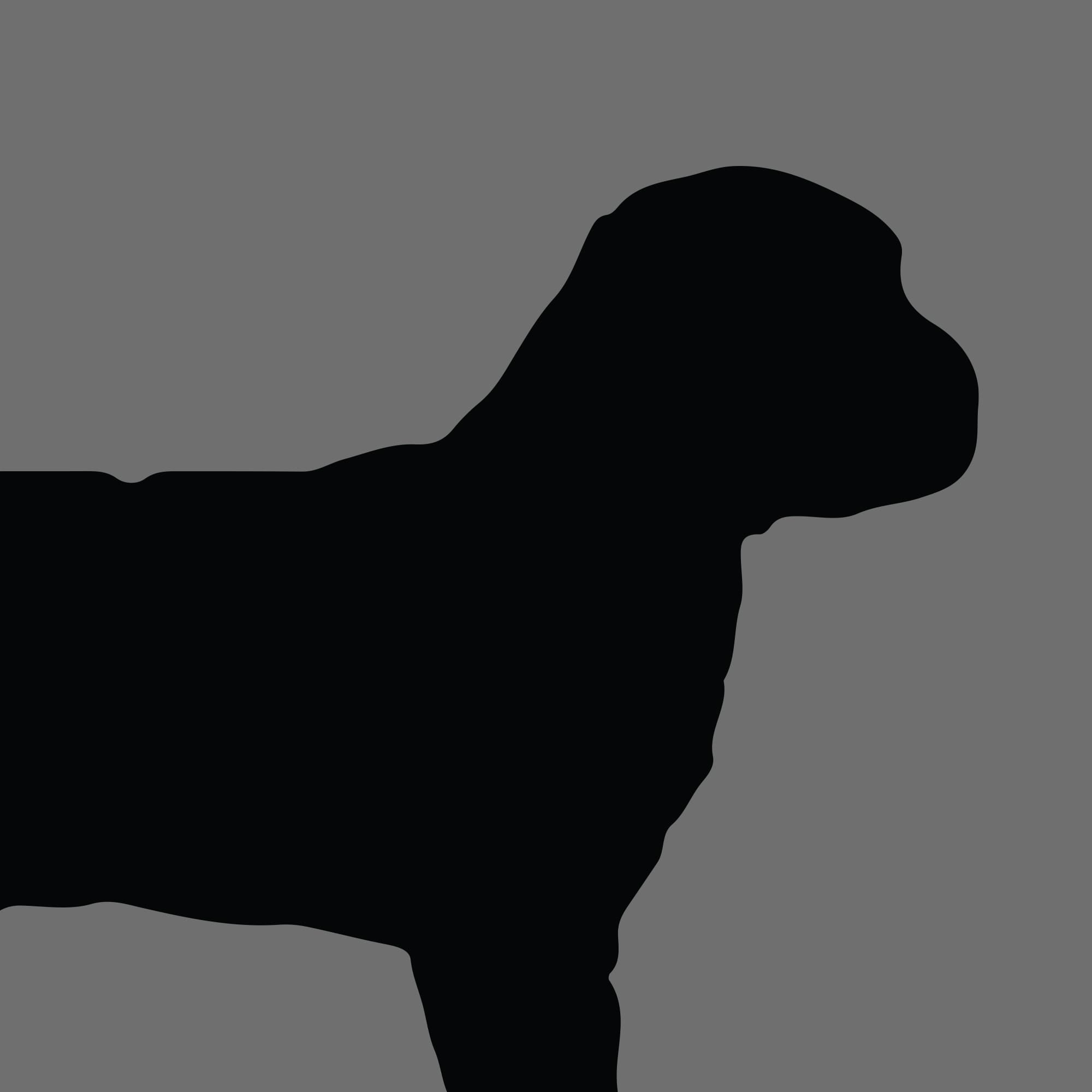 Dog Silhouette Square Lagotto Romagnolo